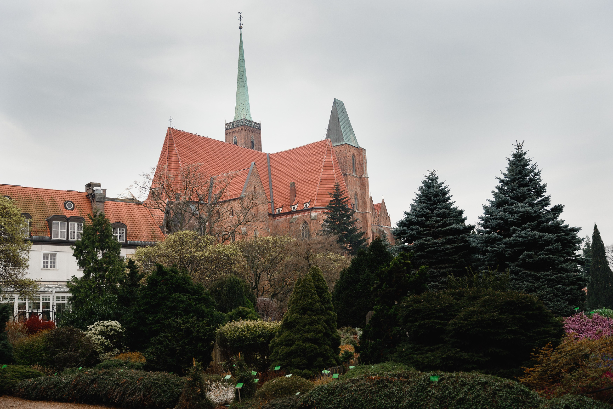 Botanical garden in Wroclaw. Kaja | fotograf we Wrocławiu | ludzie i psy