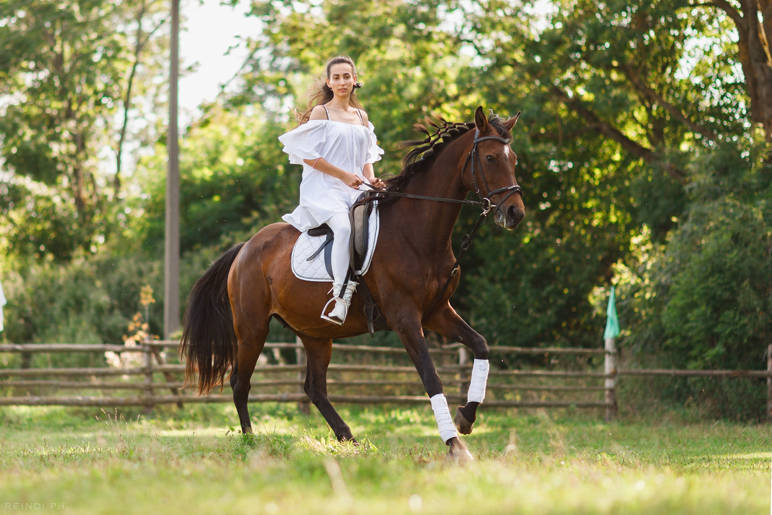 Horse show in the village. Kaja | fotograf we Wrocławiu | ludzie i psy