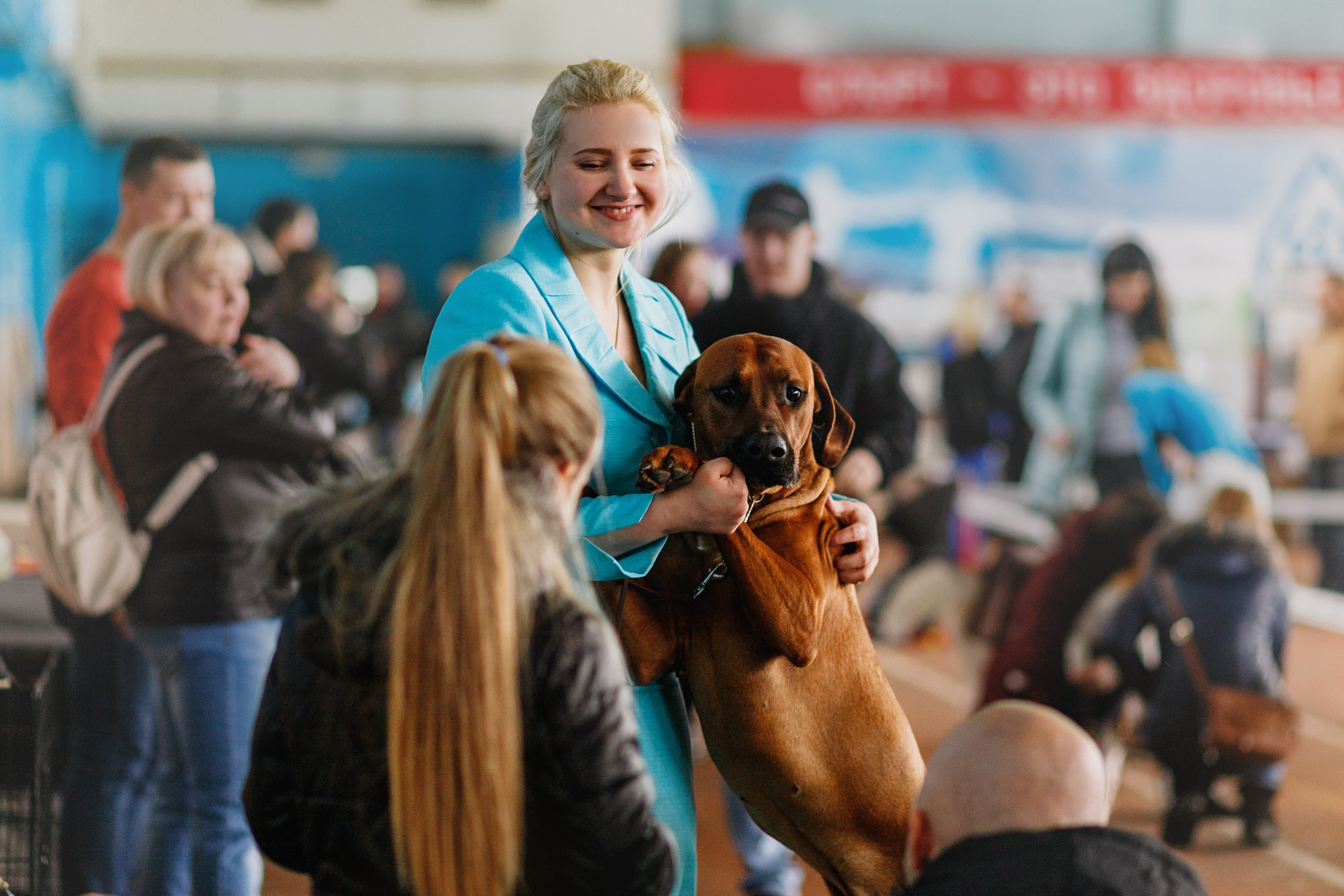 Dog shows | the best ones. Kaja | fotograf psów we Wrocławiu