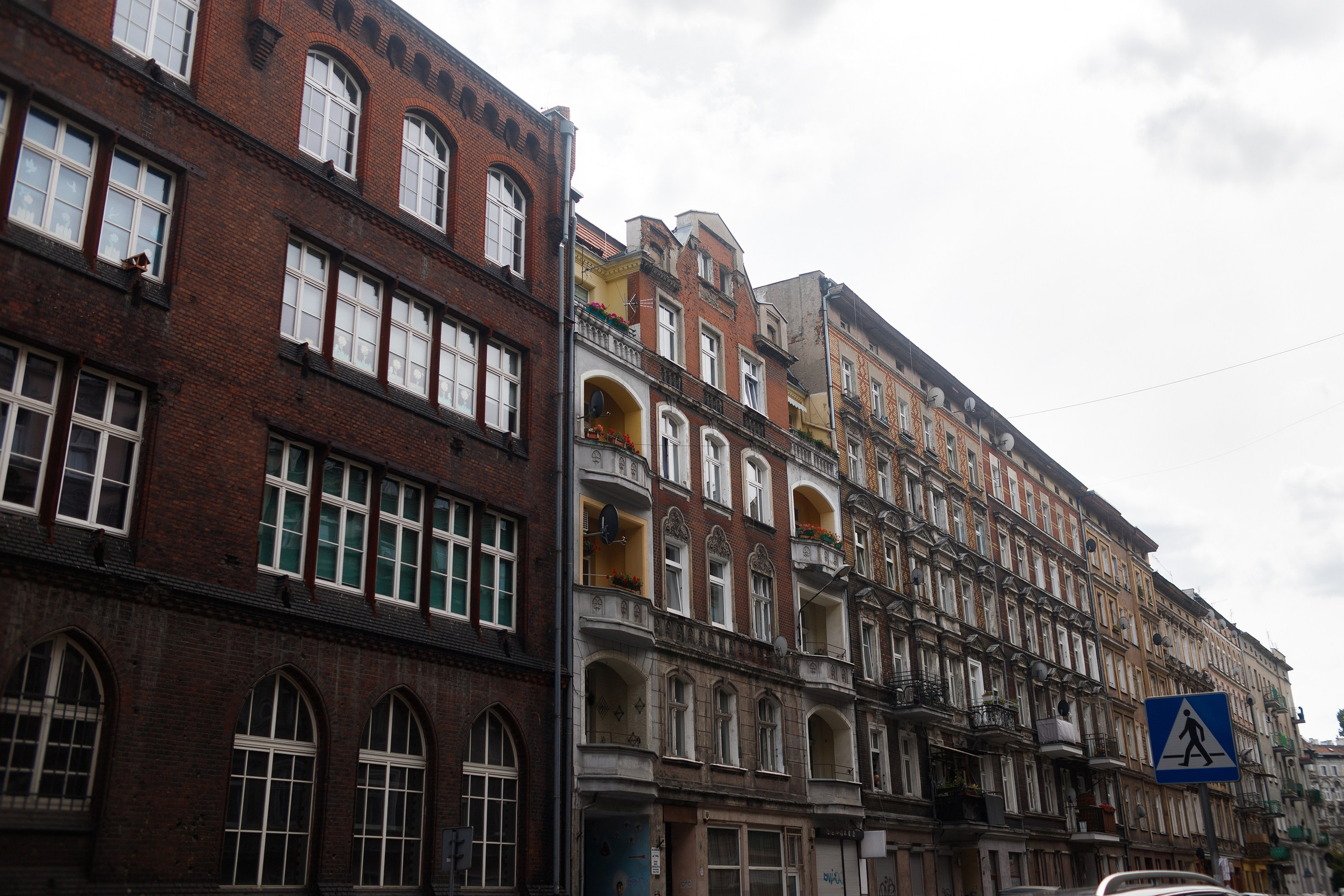 Wroclaw | the best ones. Kaja | fotograf psów we Wrocławiu