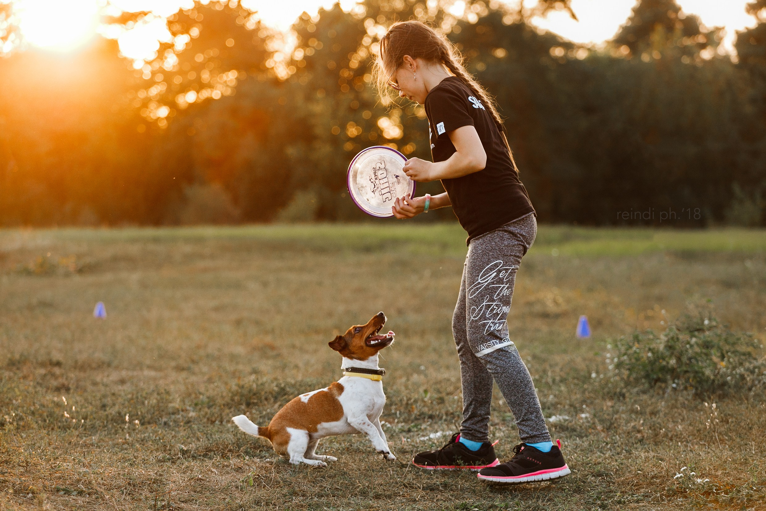 Frisbee training at sunset | summer. Kaja | fotograf we Wrocławiu | ludzie i psy
