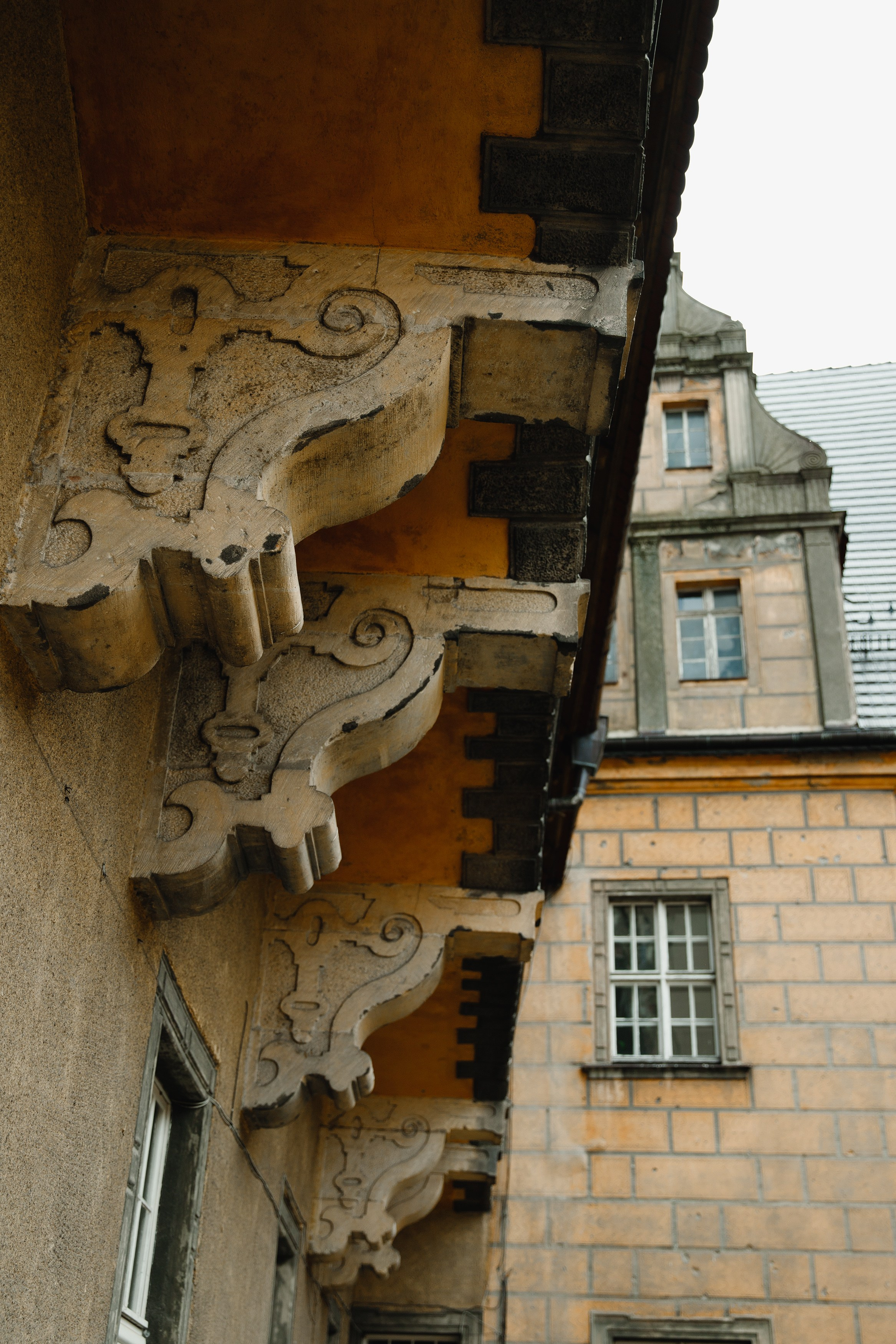 Oleśnica castle. Kaja | fotograf psów we Wrocławiu