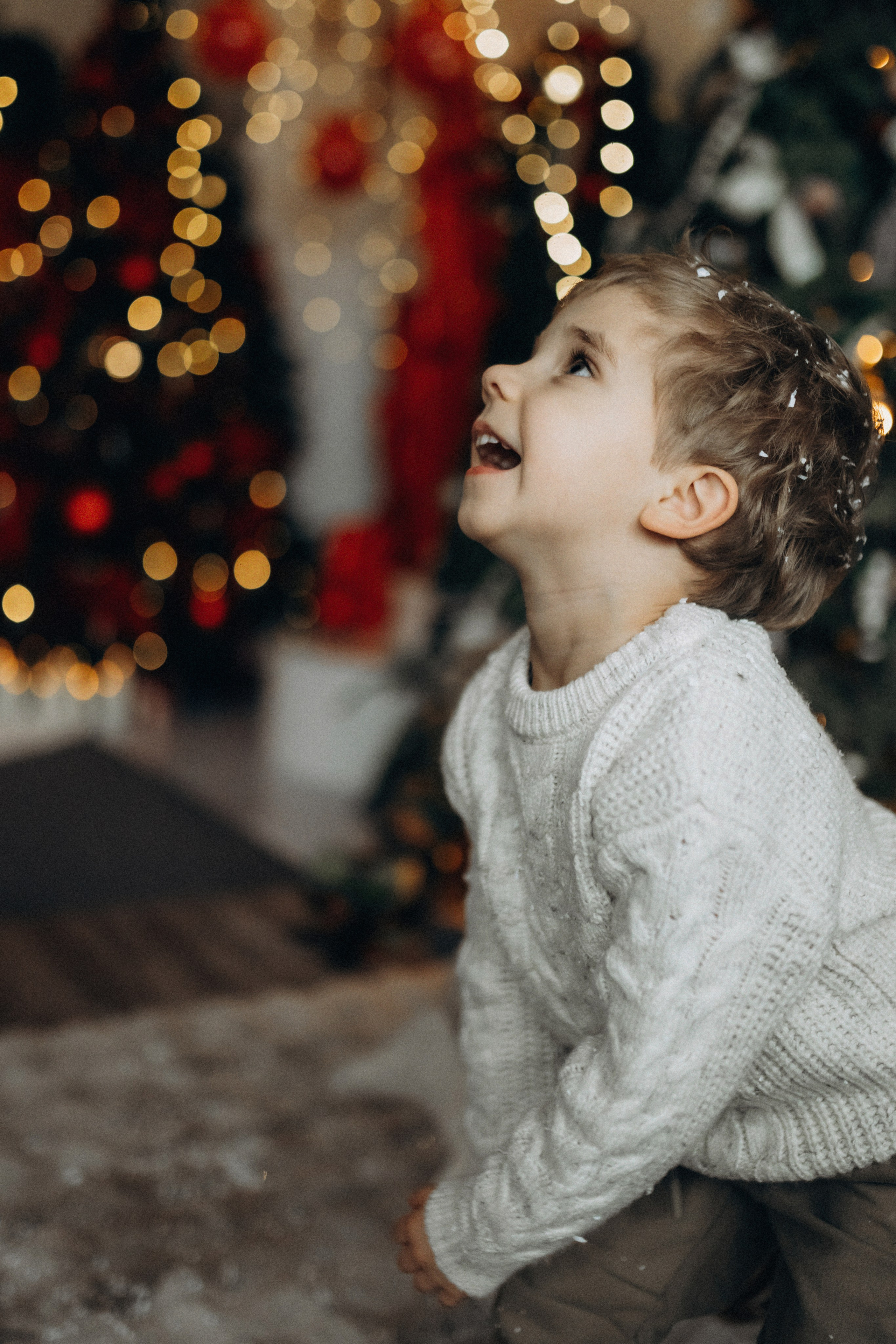 Новогодняя фотосессия в студии. Семейный фотограф Лейпциг, Германия