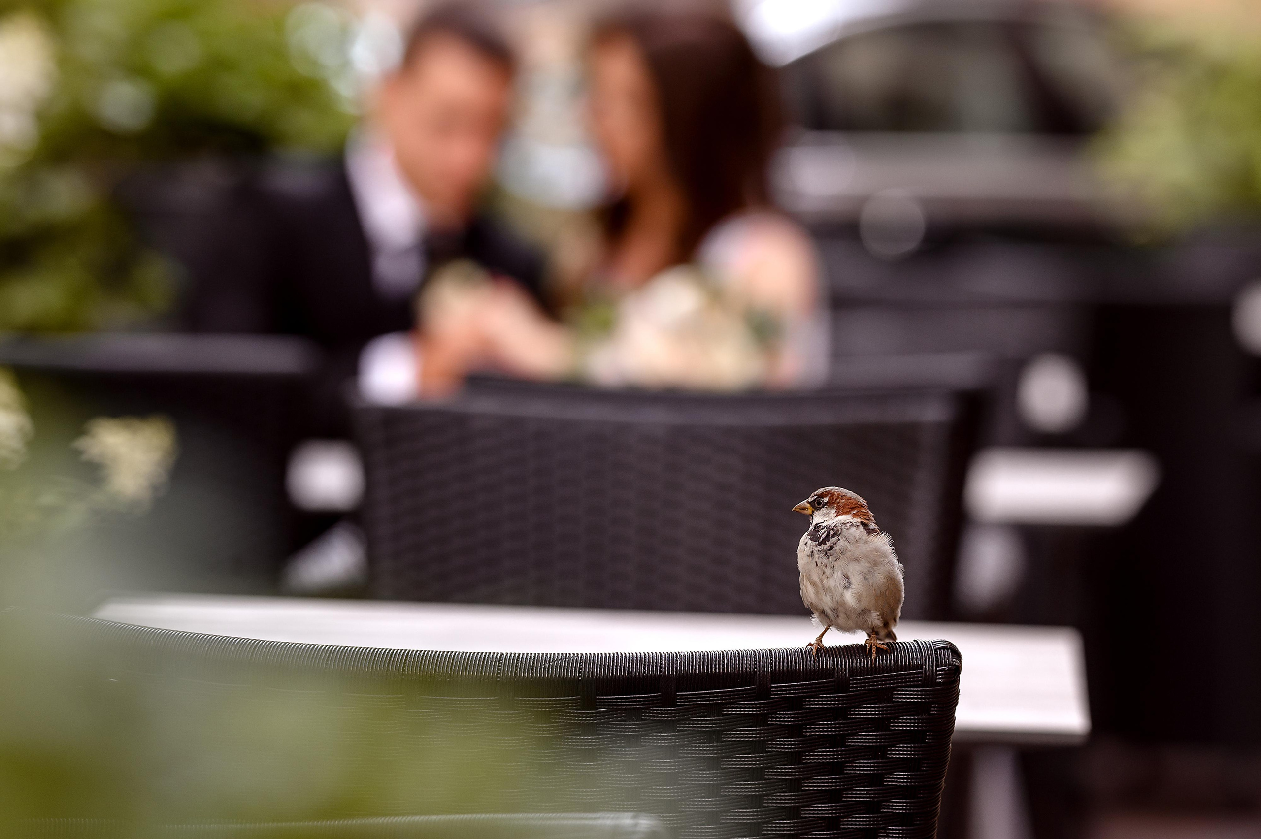 fotograf daugavpils, свадебный фотограф даугавпилс