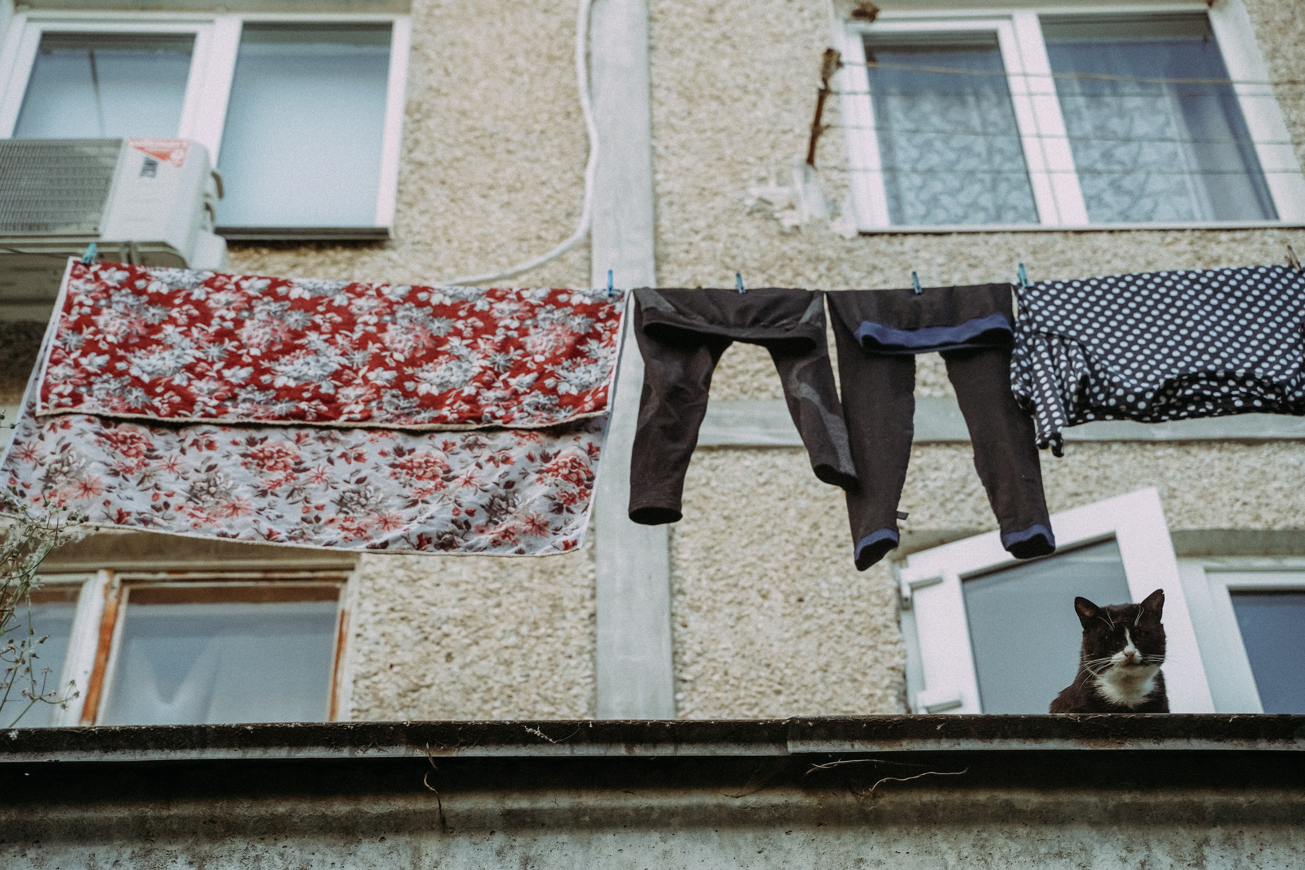 Кот шпедингера. Стрит-фотография, полная абсурда, идиотизма и красоты