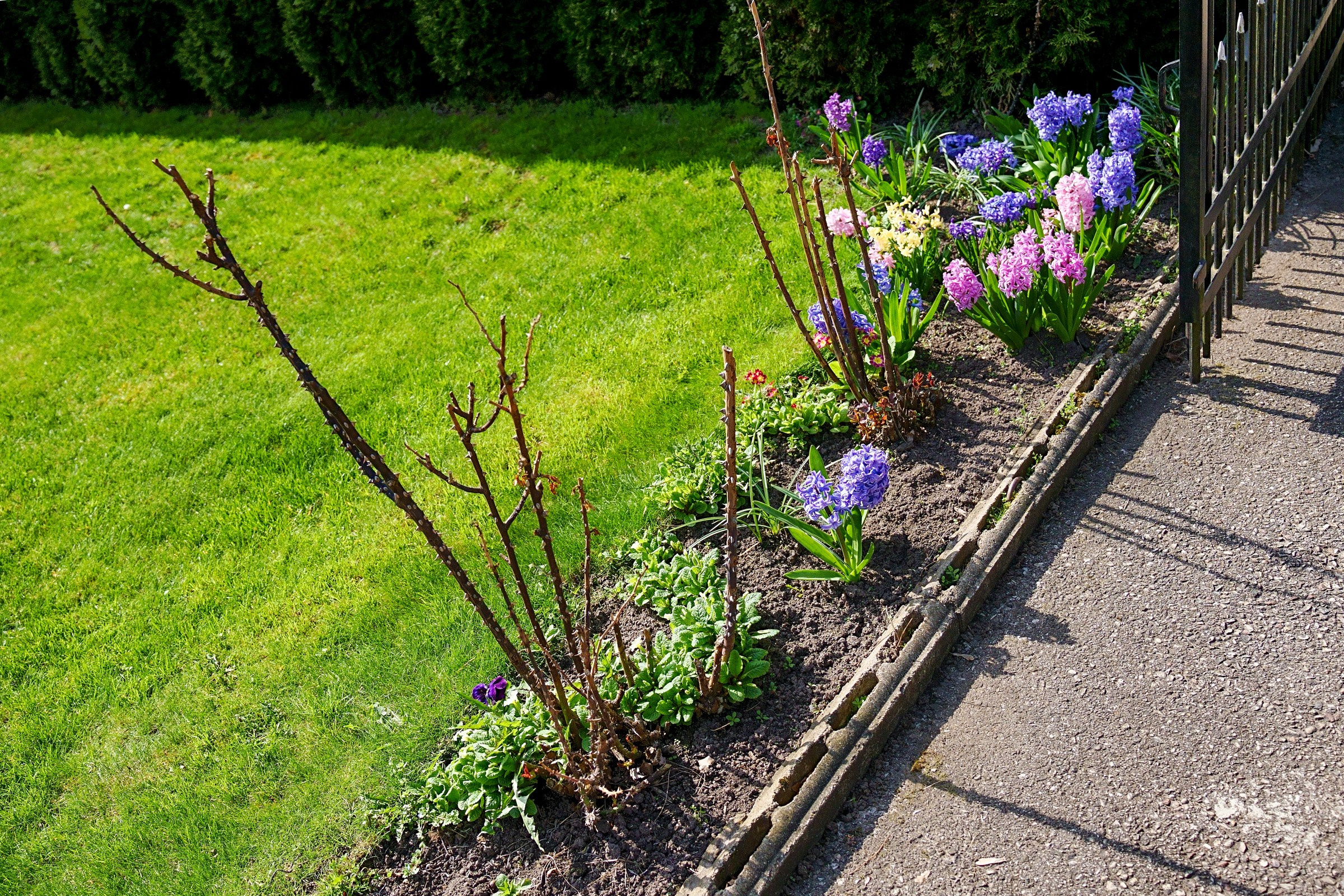 Namo fotosesija. Elina Sapiega fotografė Vilniuje