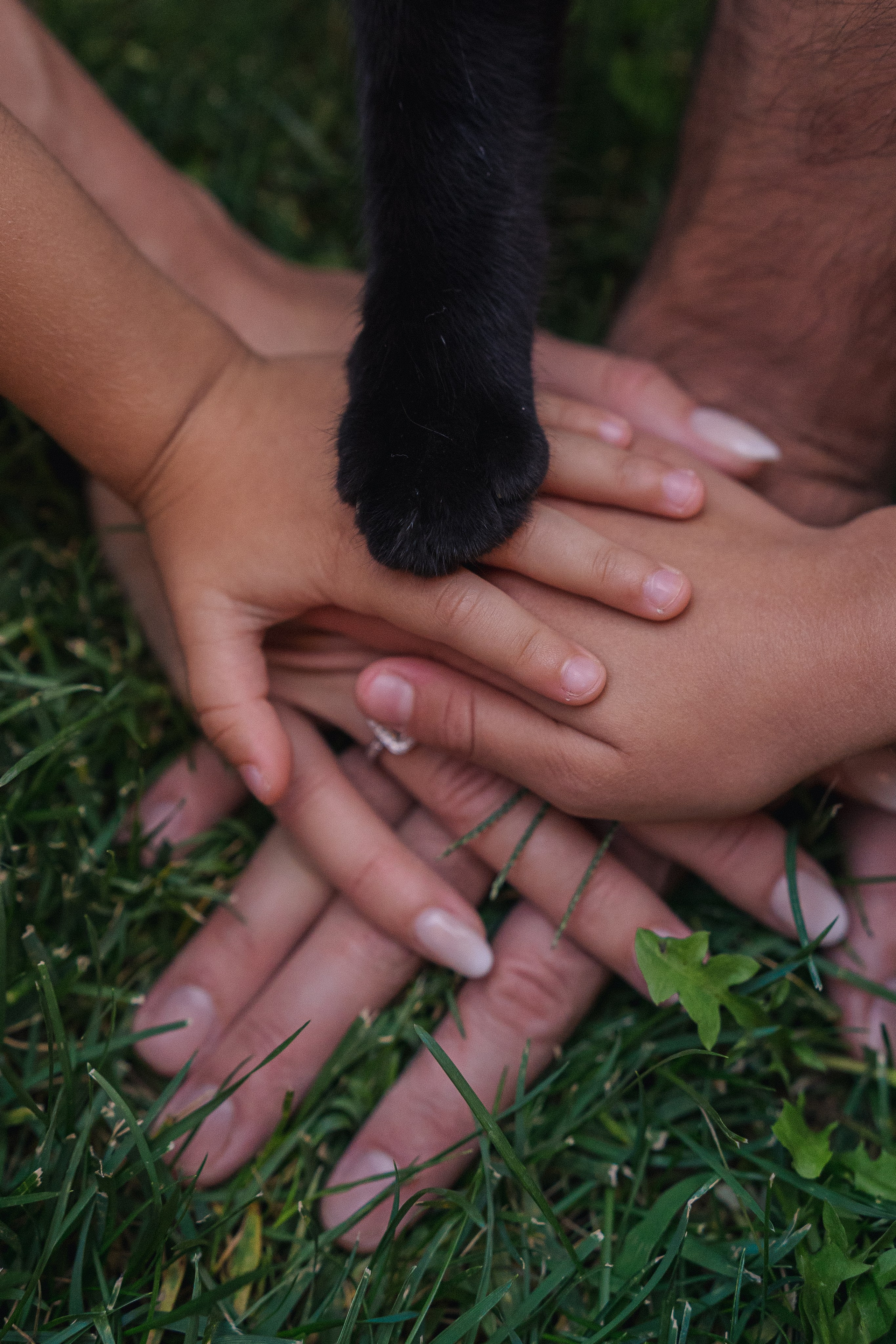 Детский праздник. Фотограф Москва Ларина Юлия
