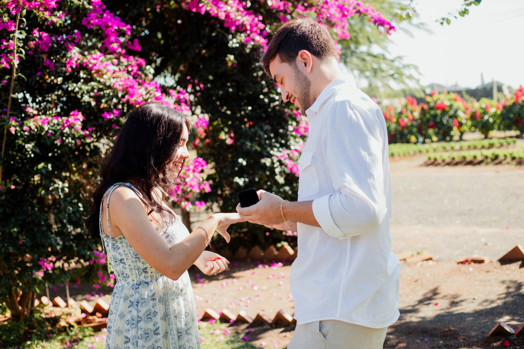 Pedido de casamento /Emilly e Yan. Joyce Maria Fotografia | Fotógrafa em Holambra
