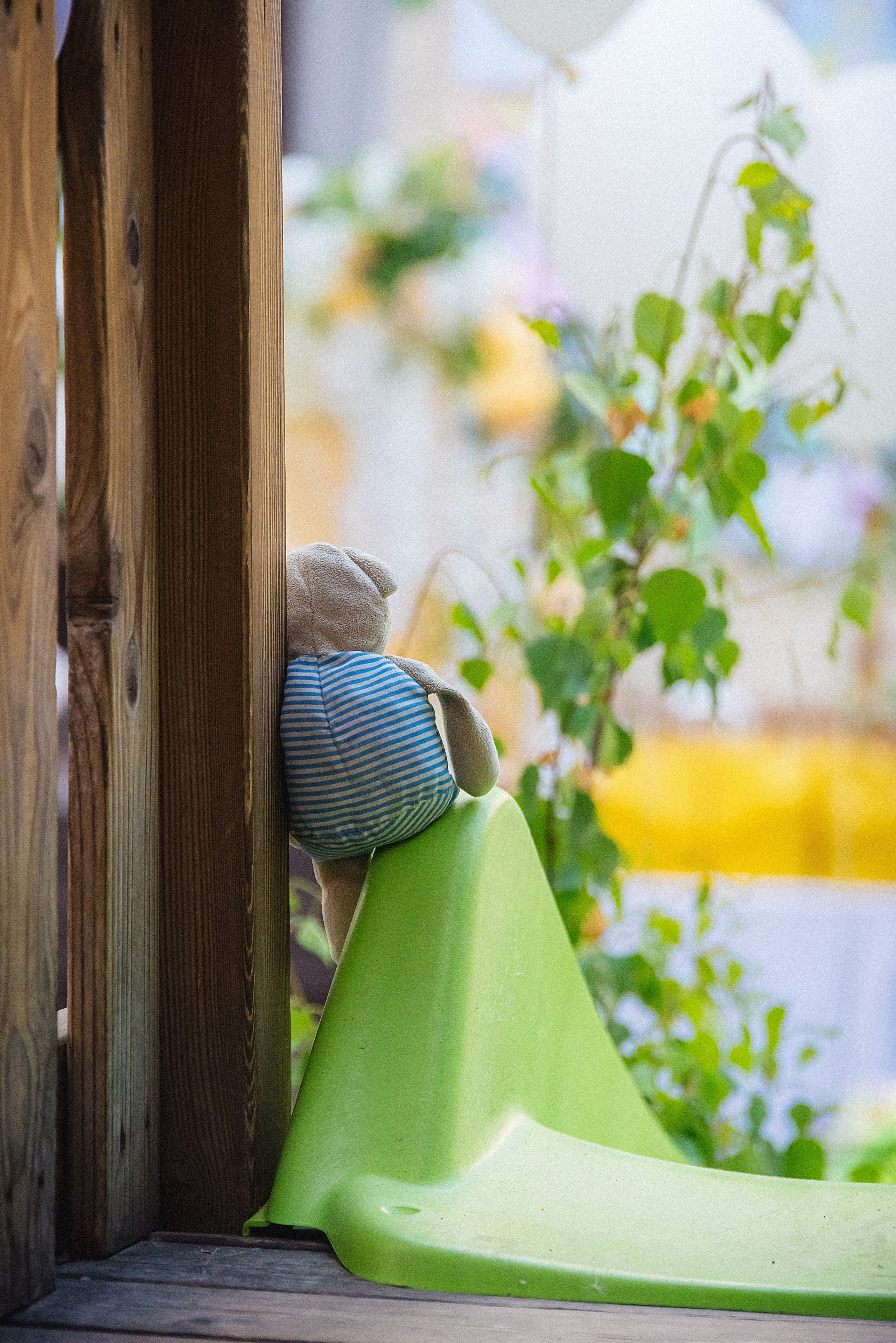 Zīles Skolas Izlaidums. Fotogrāfs Rīgā. Gīmenes, individuālās un dažādu produktu fotosesijas