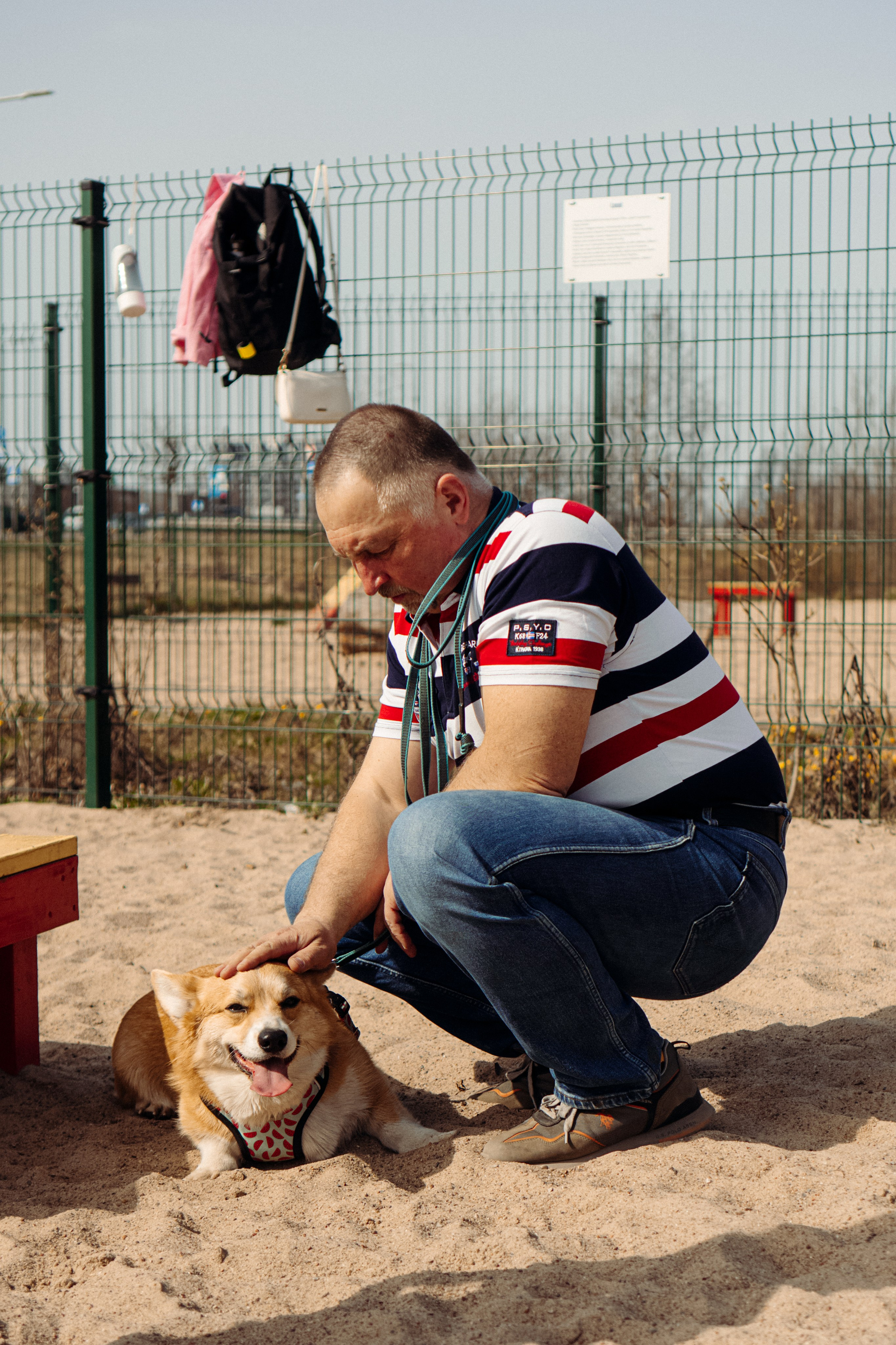 Corgi party, 18 apr. 2025. Kat Laisaar — Pet photographer in Tallinn