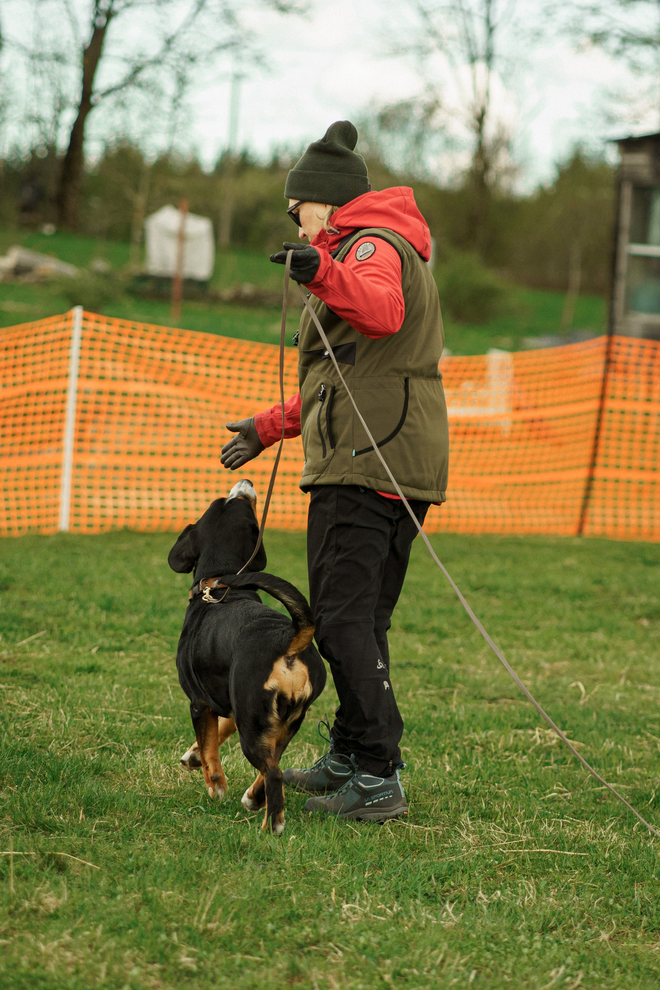 Herding Days, 26 apr. 2025. Kat Laisaar — Pet photographer in Tallinn