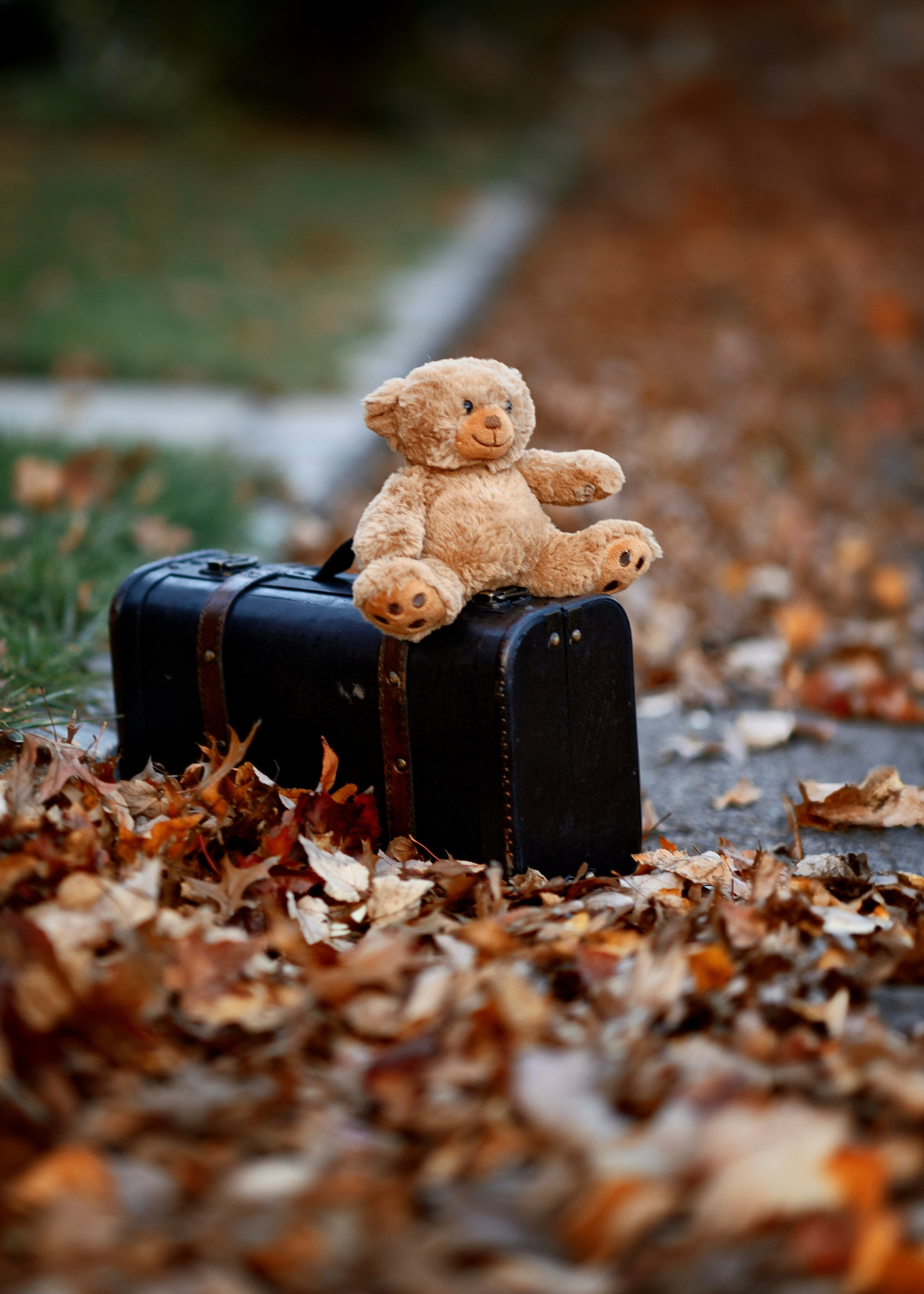 Autumn. Professional photographer in NYC Kristina Bagdasaryan