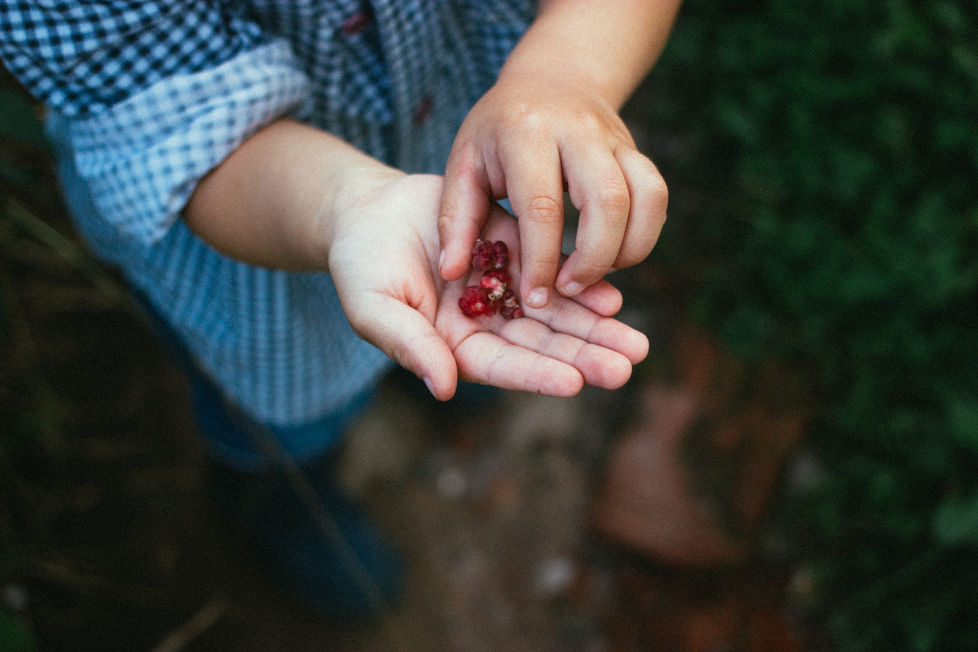 Деревенские мотивы. Семейный фотограф и видеограф в Эстонии Анна Оя