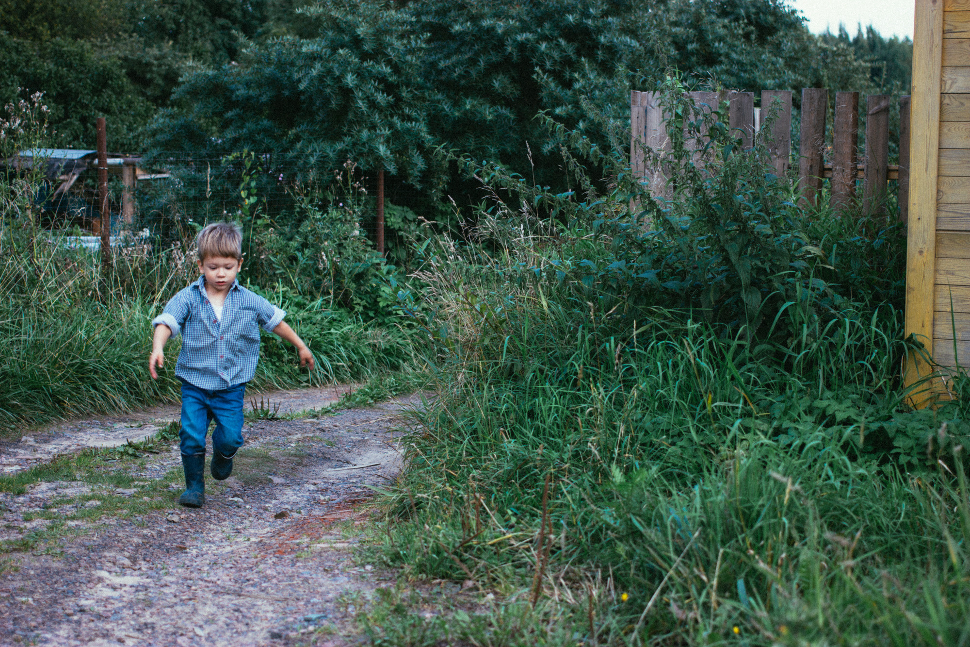Деревенские мотивы. Семейный фотограф и видеограф в Эстонии Анна Оя