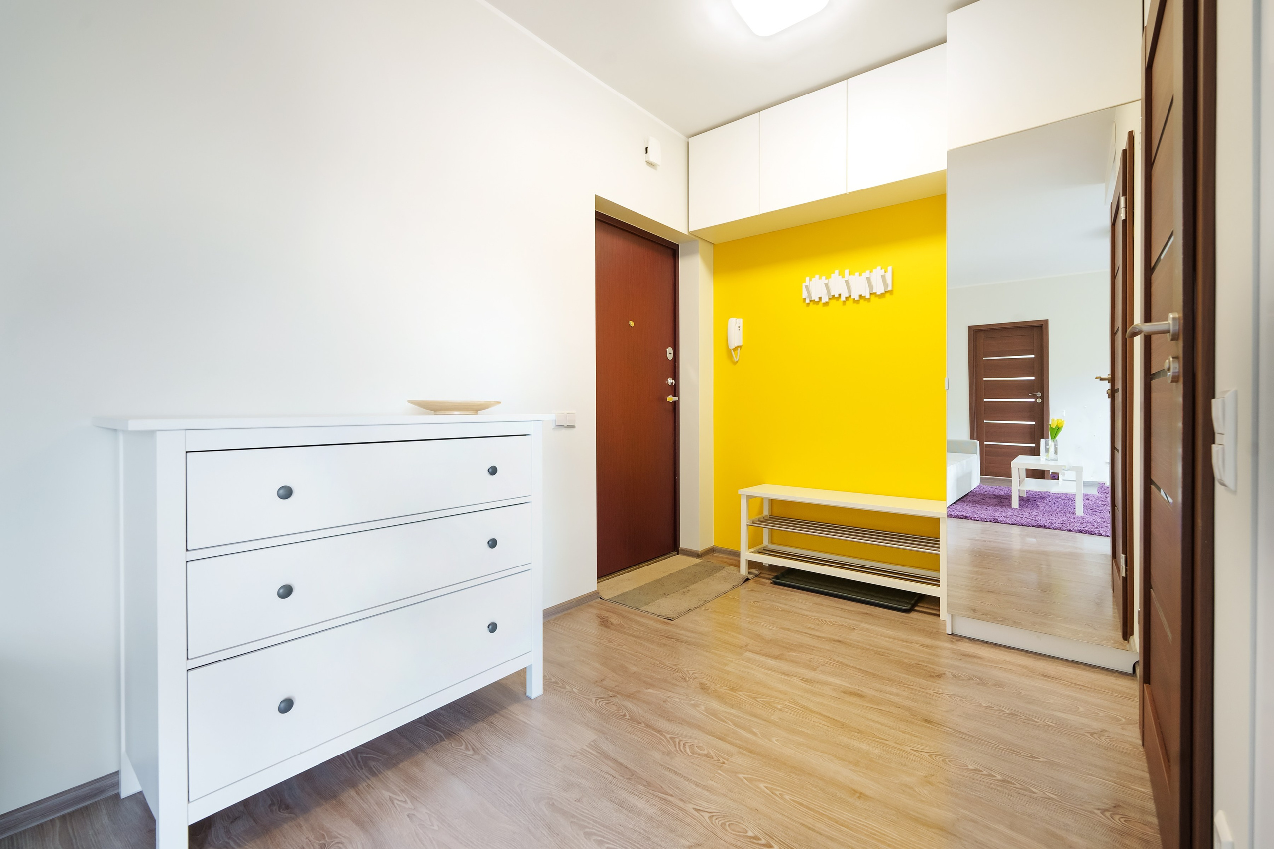 Balčikonio g. 7. Elina Sapiega fotografė Vilniuje