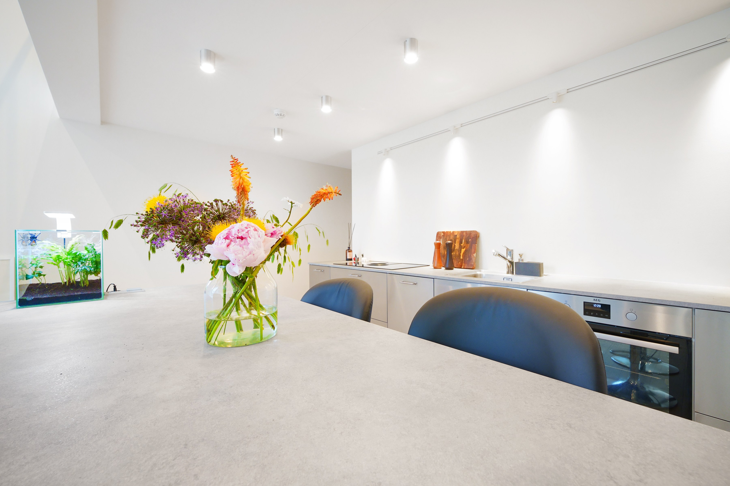 Kauno g. 32b. Elina Sapiega fotografė Vilniuje