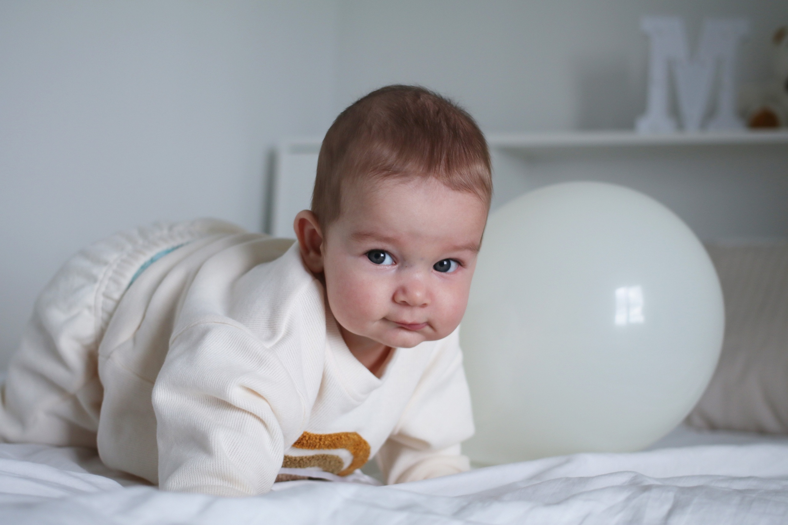 Family Photoshoots. Wedding photographer in Europe