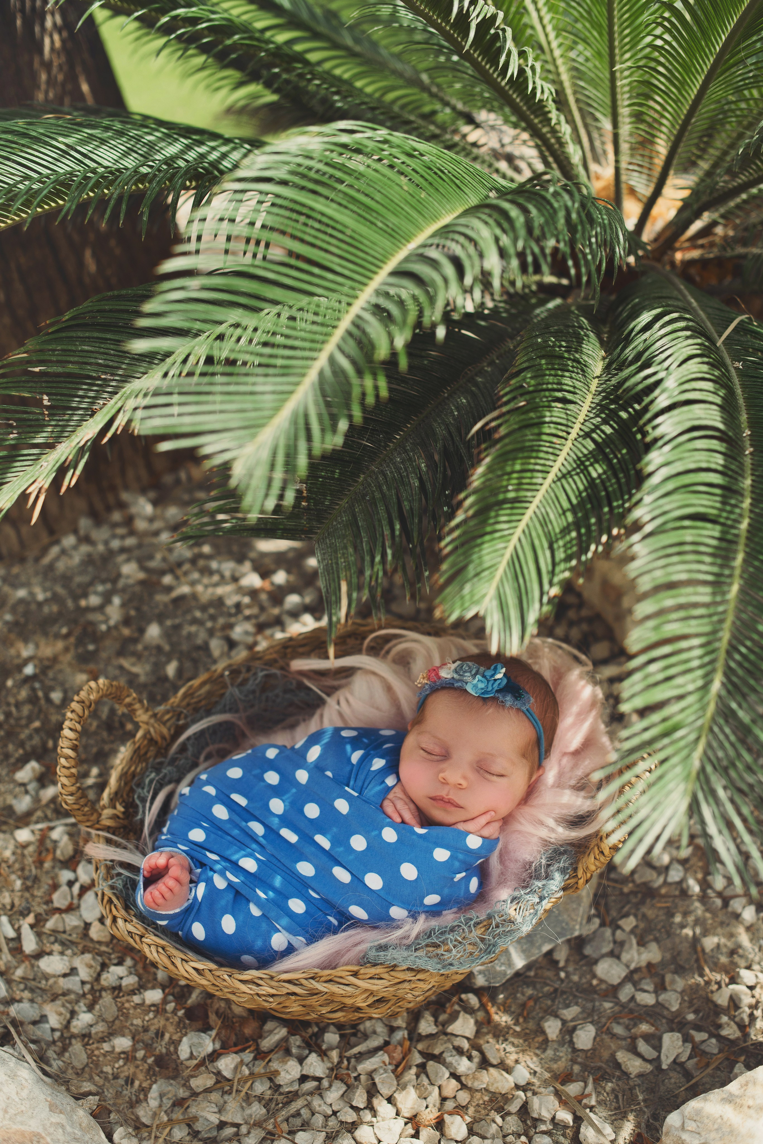 Naturaleza. Https://newbornphoto.wfolio.pro/me