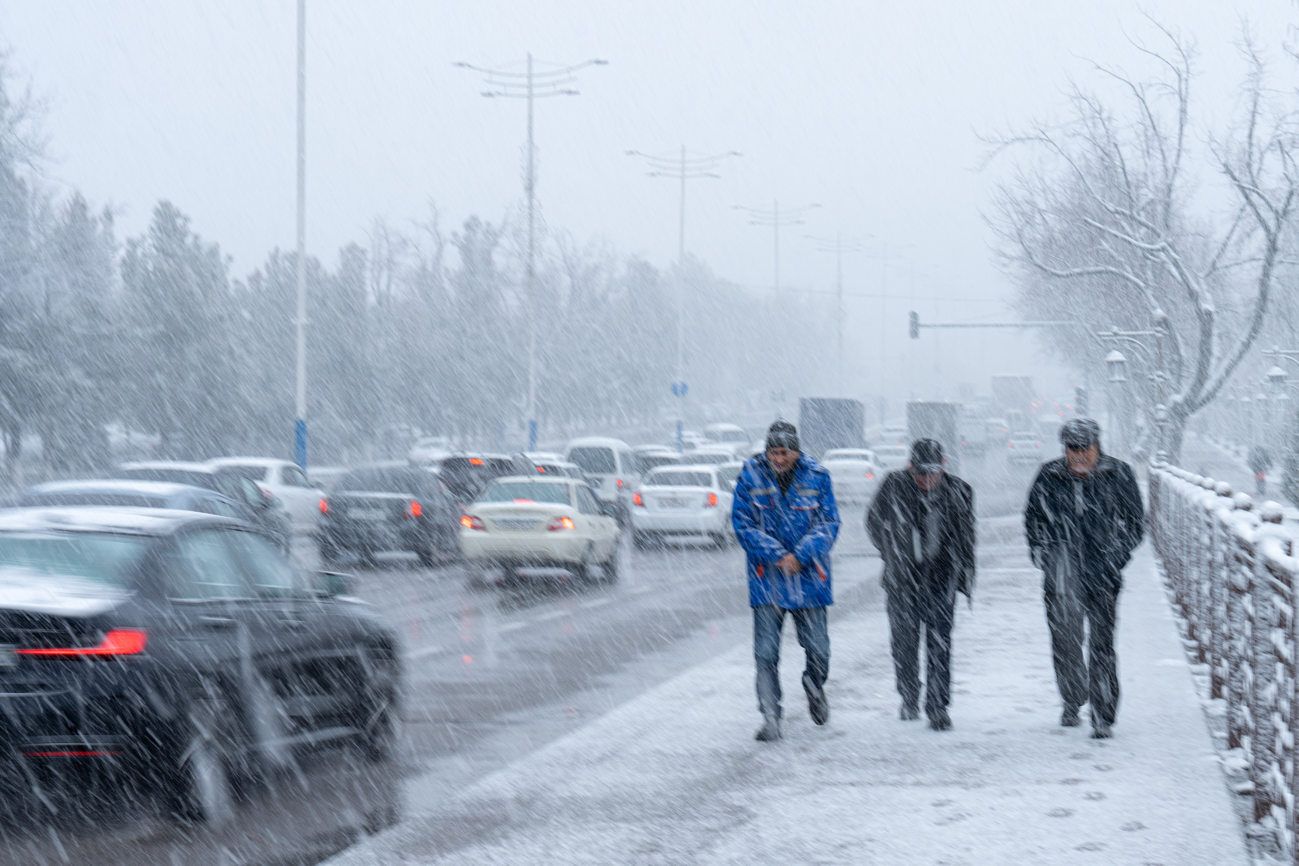 Первый снег в 2024 году. Георгий Намазов | Фотограф в Ташкенте