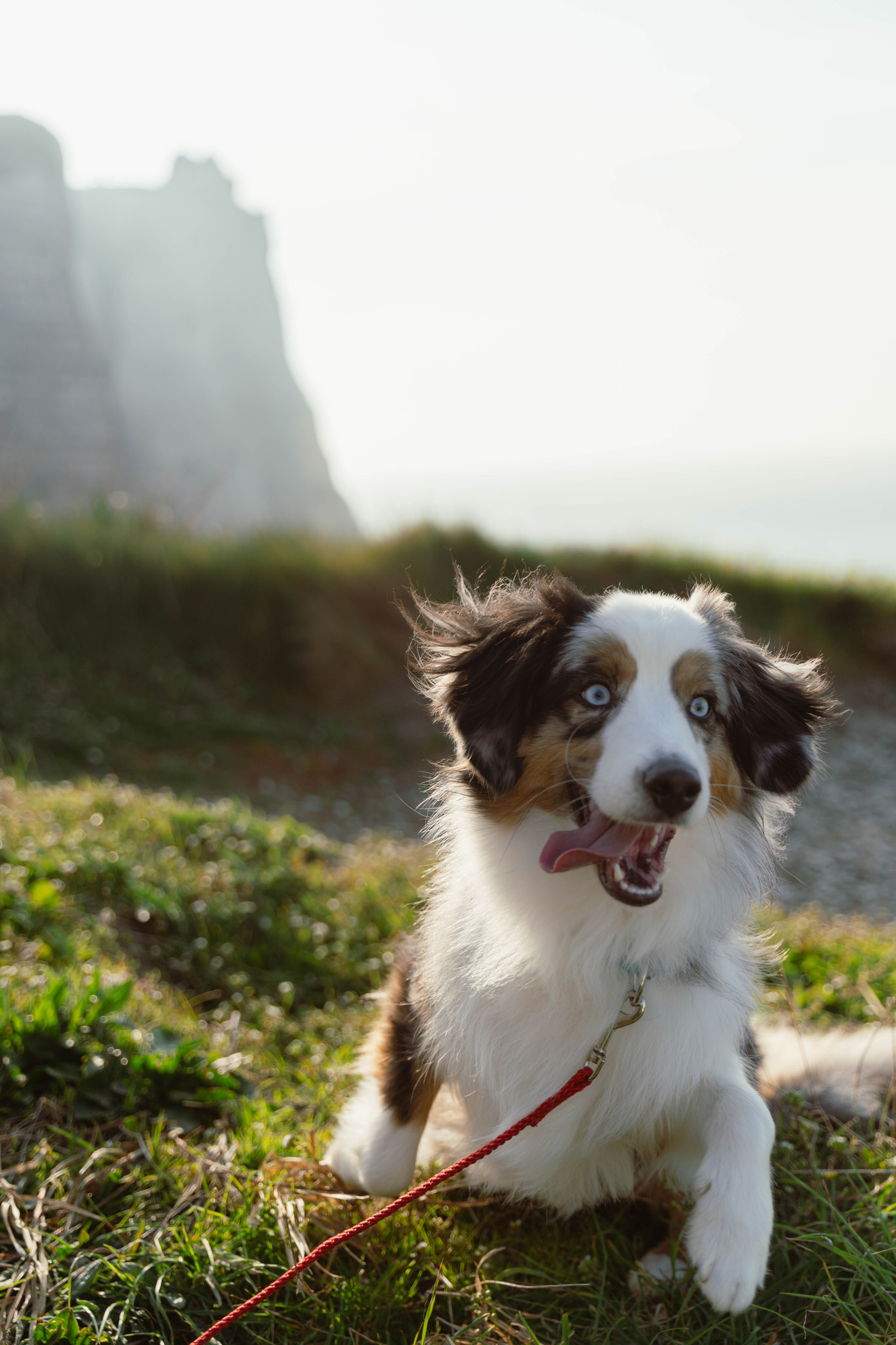 Lola & Nolhan. Weeding photographer / event / portrait
