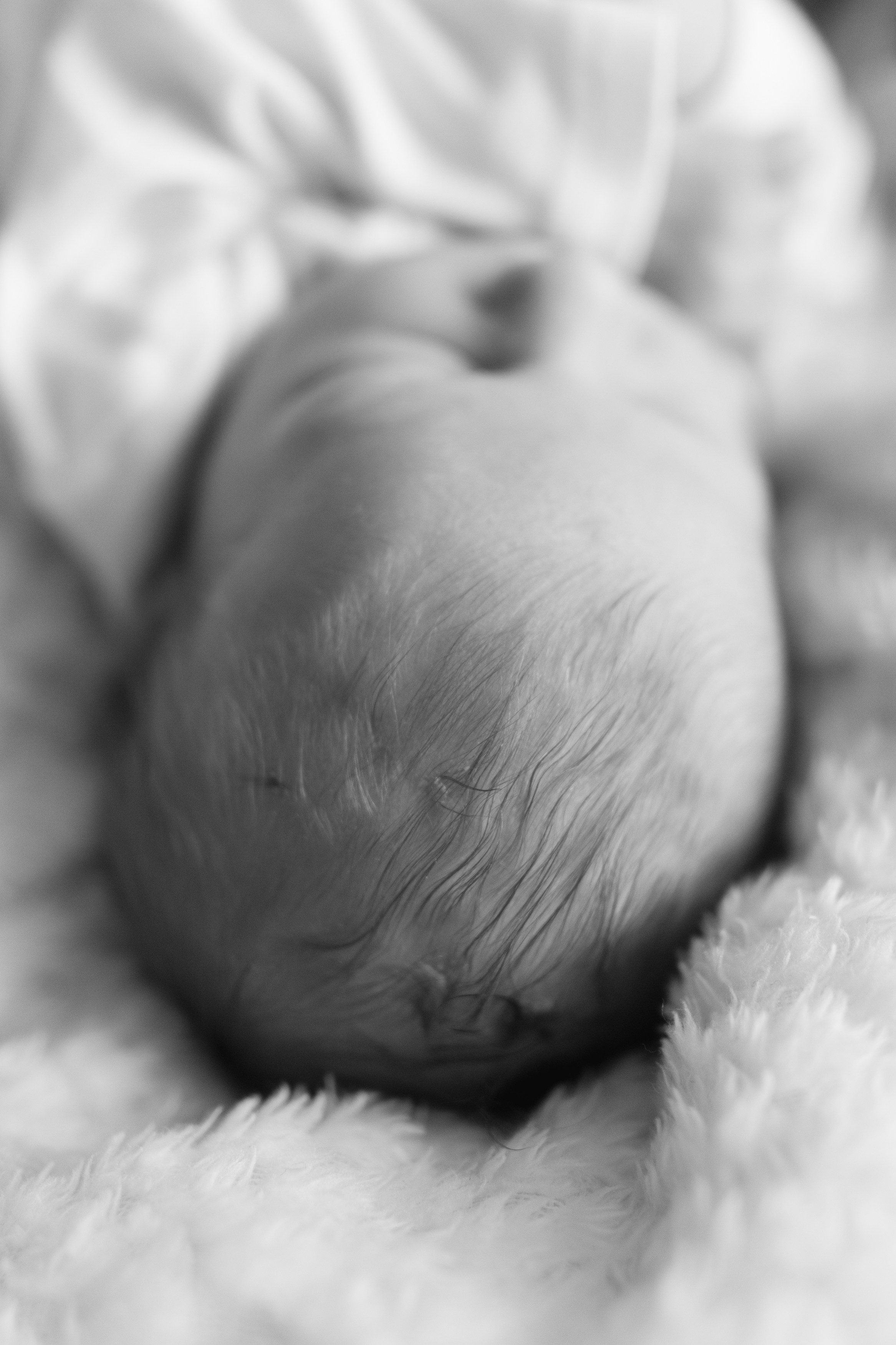 Fresh 48. Fotografka Andrea Hlaváčová / Karlovarský kraj / Karlovy Vary Sokolov