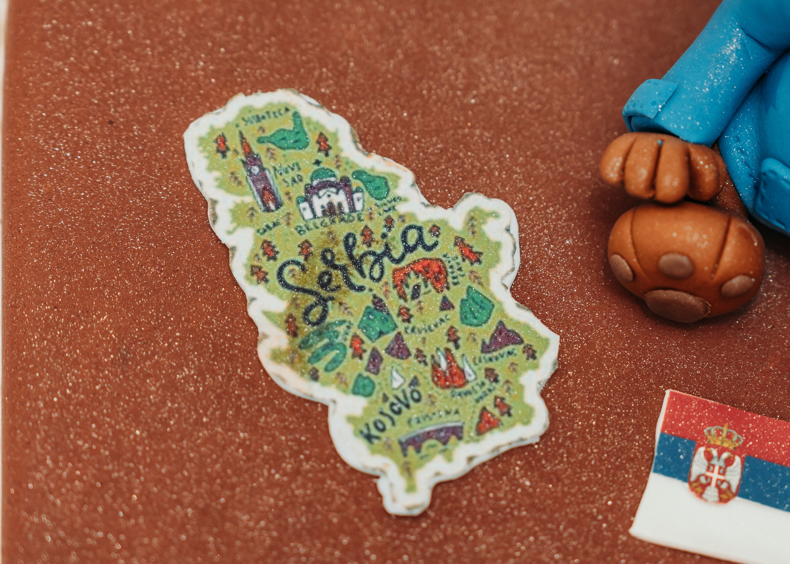 FOTOGRAFISANJE ROĐENDANA. DEČIJI FOTOGRAF BEOGRAD|NOVOGODISNJE FOTOGRAFISANJE|CAKE SMASH