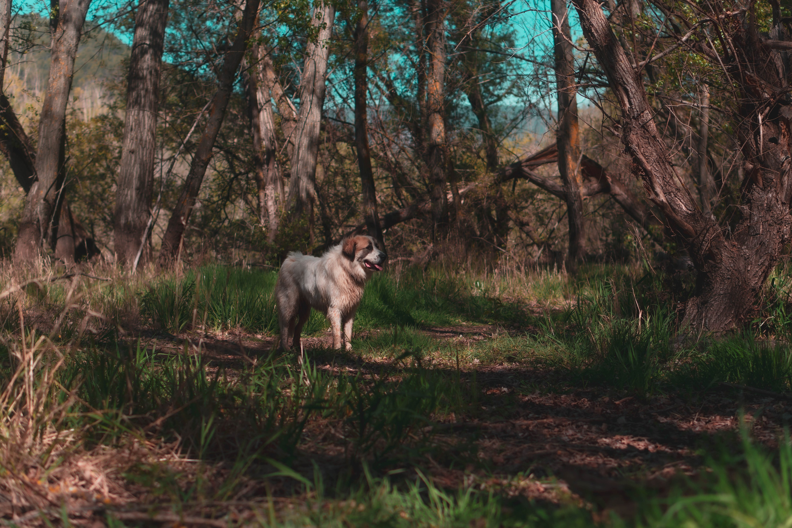Noa&Agnia. Alba del Norte Studio