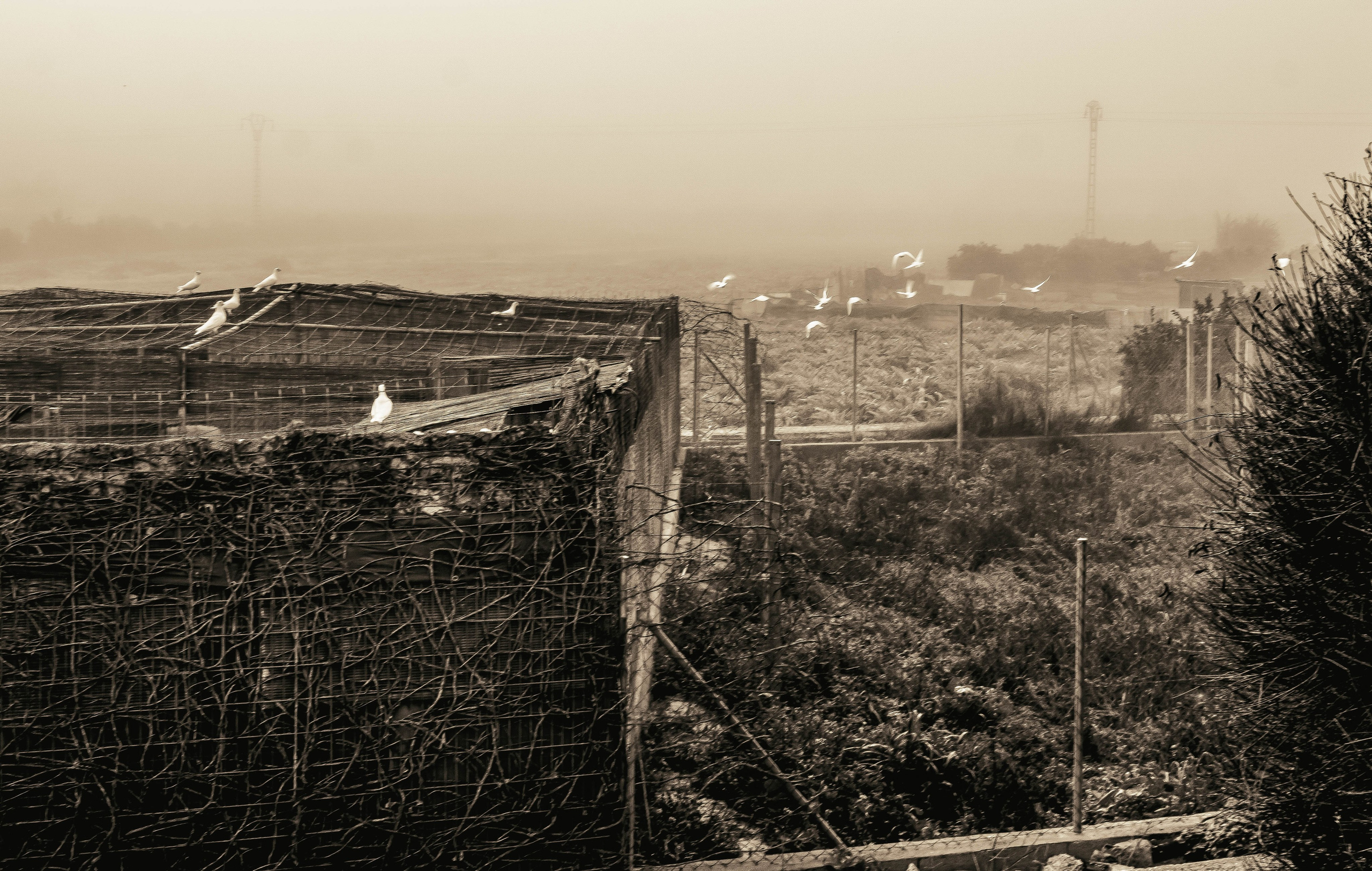 Rojales. Alba del Norte Studio