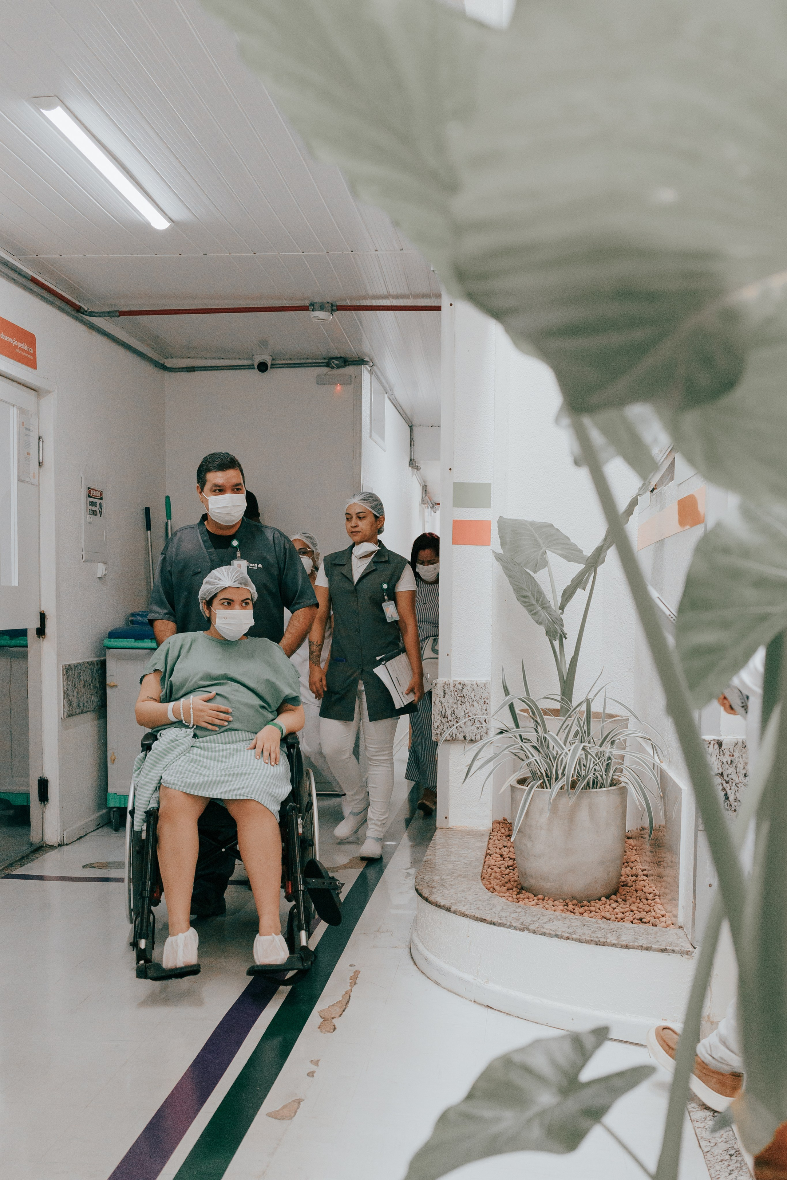 Nascimento de Vicente