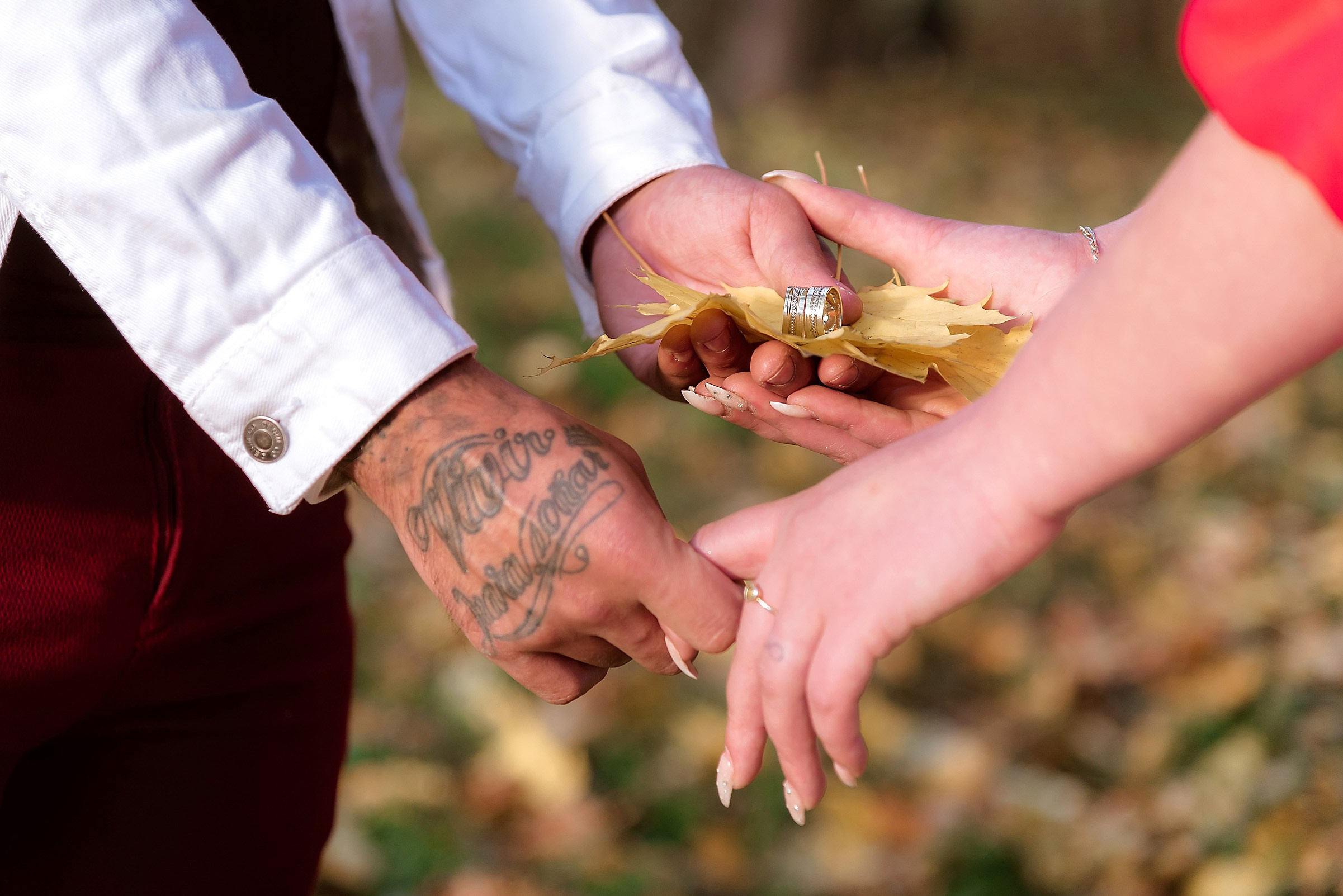 Fotograf Nunta Save The Date Craiova Pitesti 2024