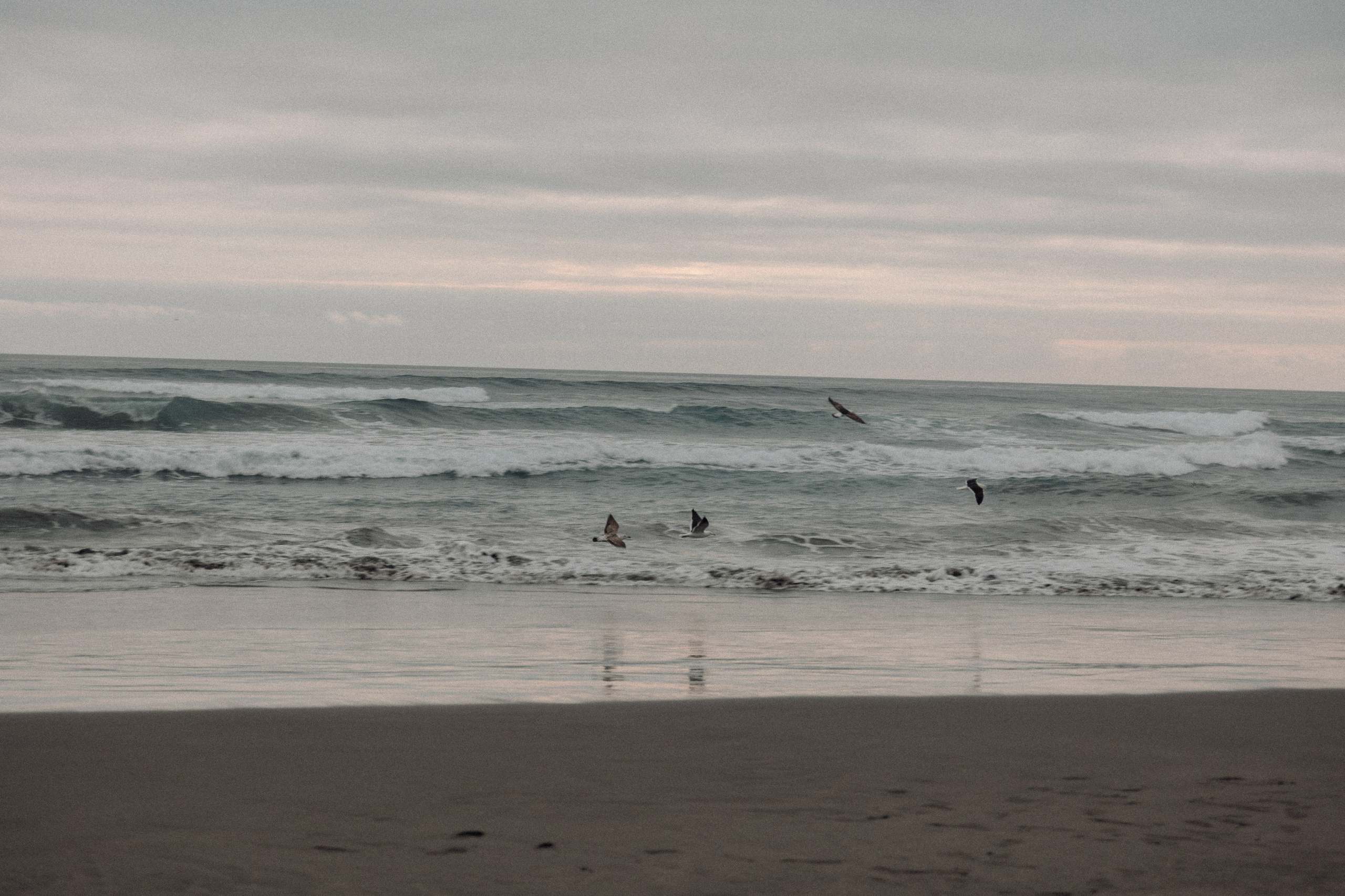 Natalia & Carlos. Anniversary love story. Fotógrafa familiar Santiago y Chile Anna Almazova