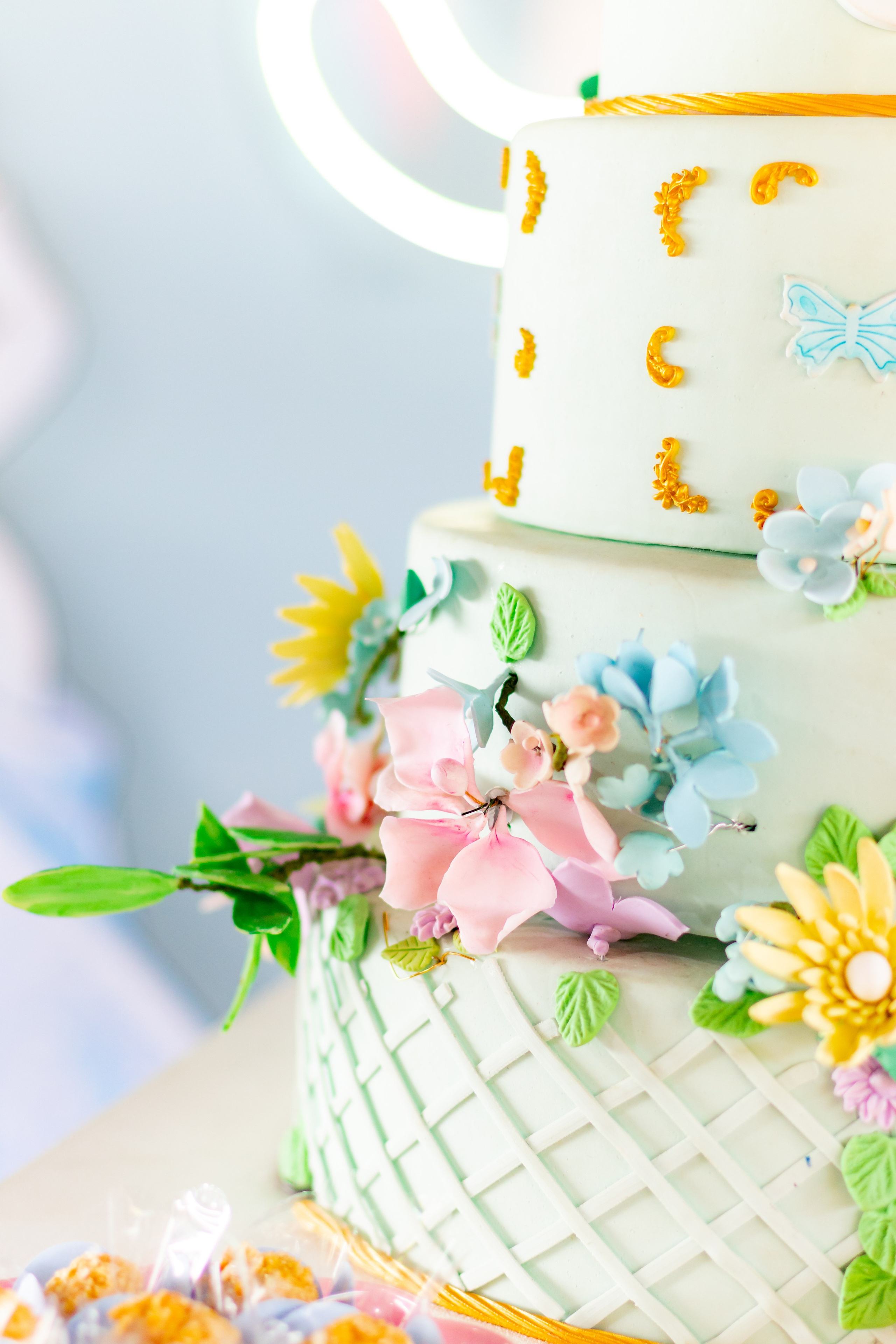 Alice — Aniversário 5 anos. Principal