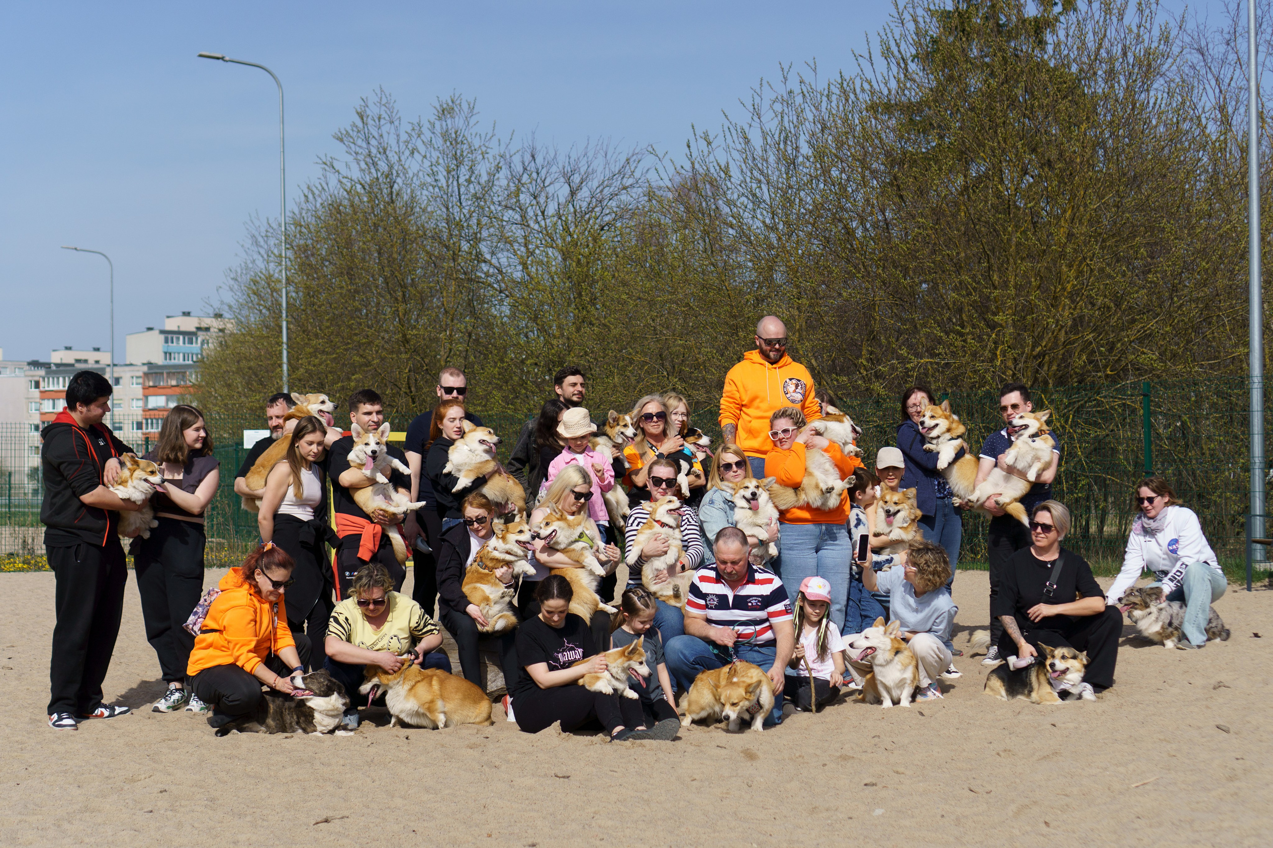 Corgi party, 18 apr. 2025. Kat Laisaar — Pet photographer in Tallinn