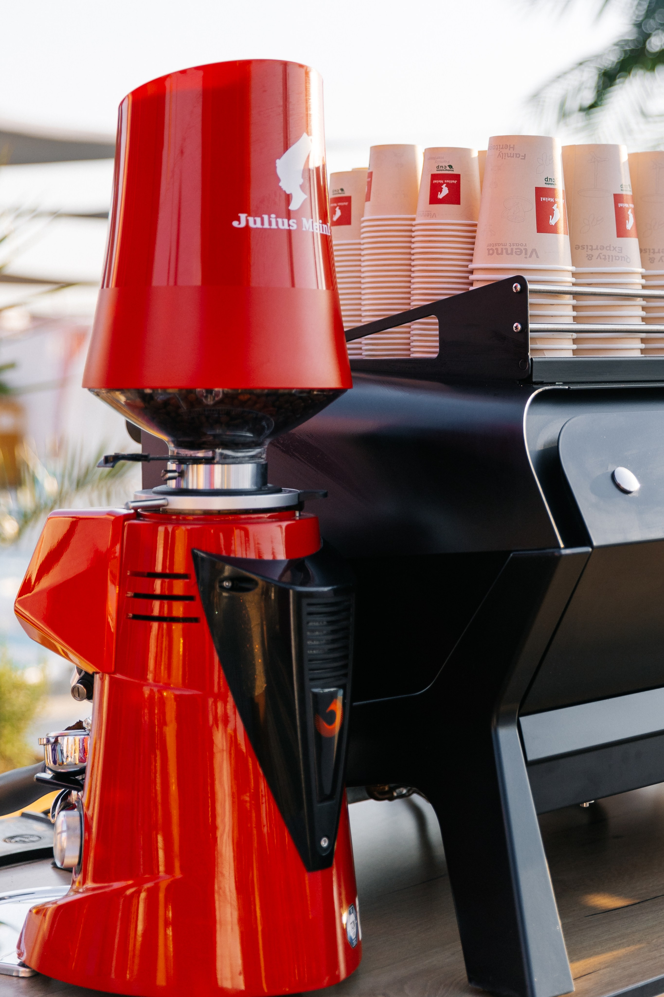 TOP SEXY — VIP MAGAZIN. Fulga Photographer