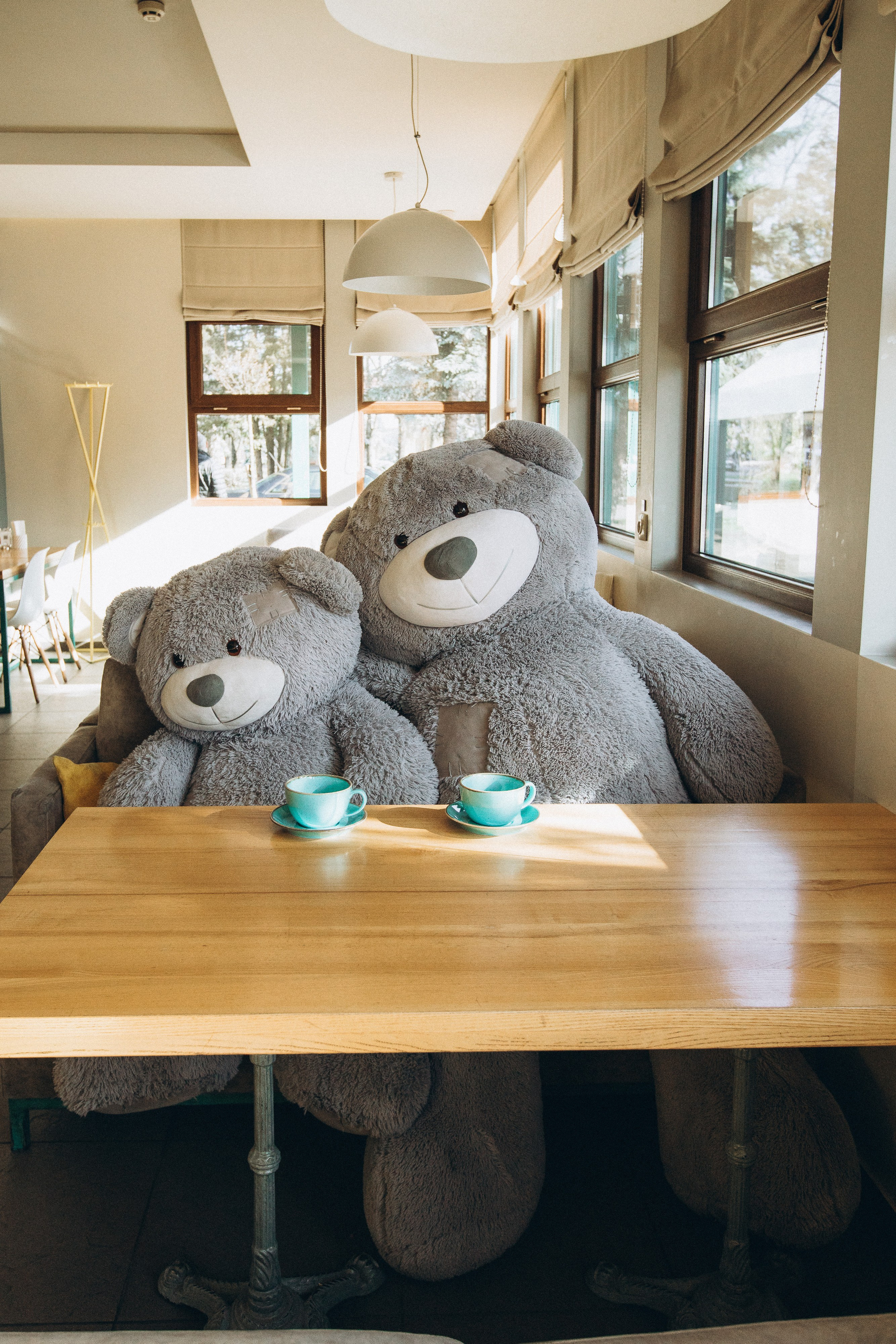 Мережа ресторанів Classic. Ірина Терещук