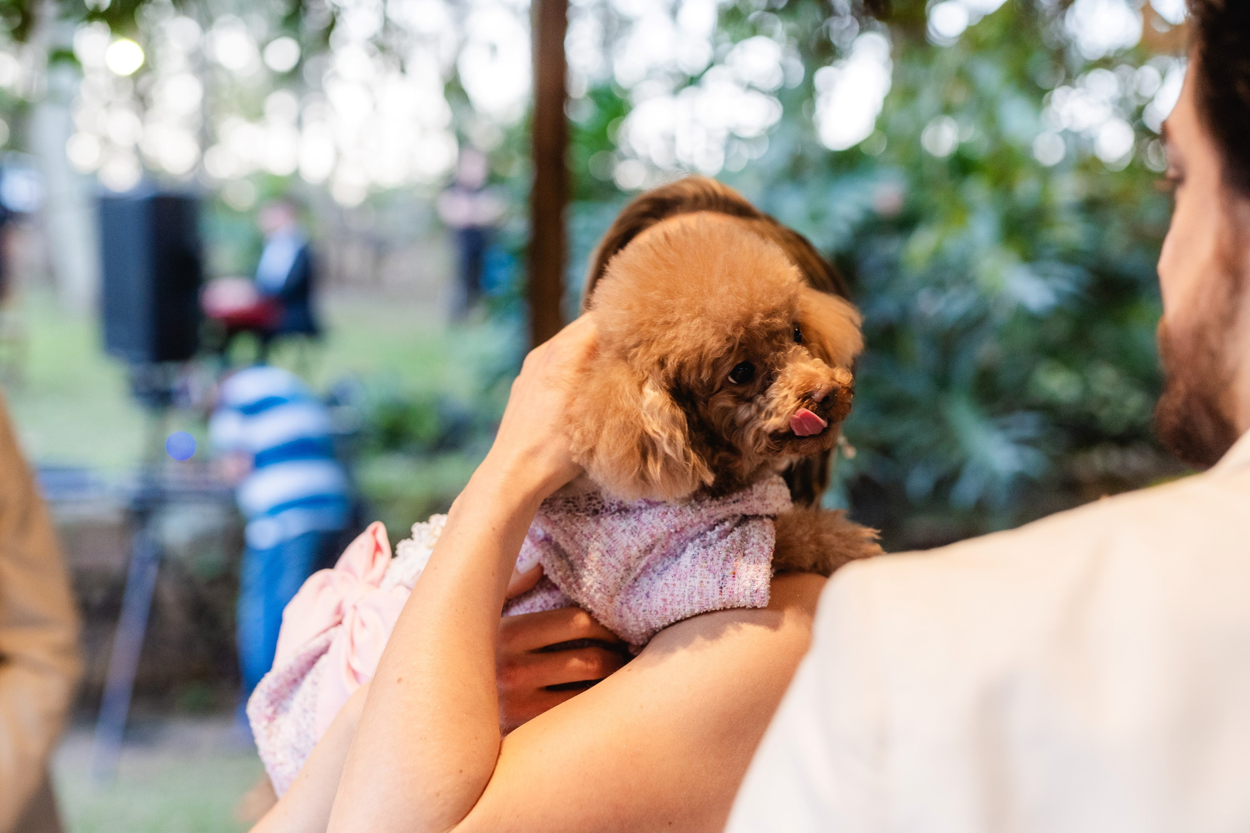 Casamento Natalia e Thiago — Alvorada. Fotógrafo de casamento e Filmmaker de casamento