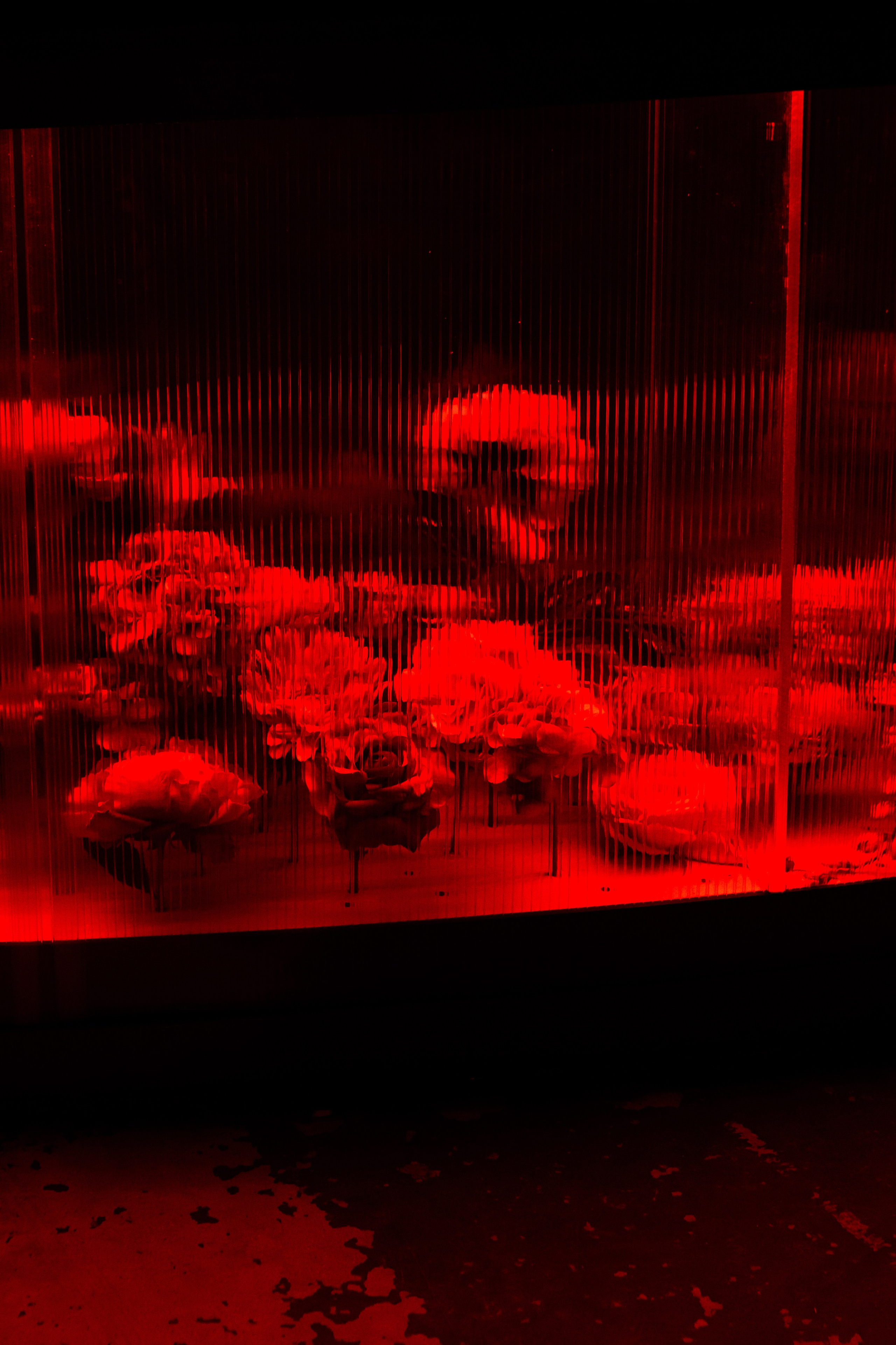 N1 Partners Afterparty — Interior Photography | Anastasiia Kalinkina