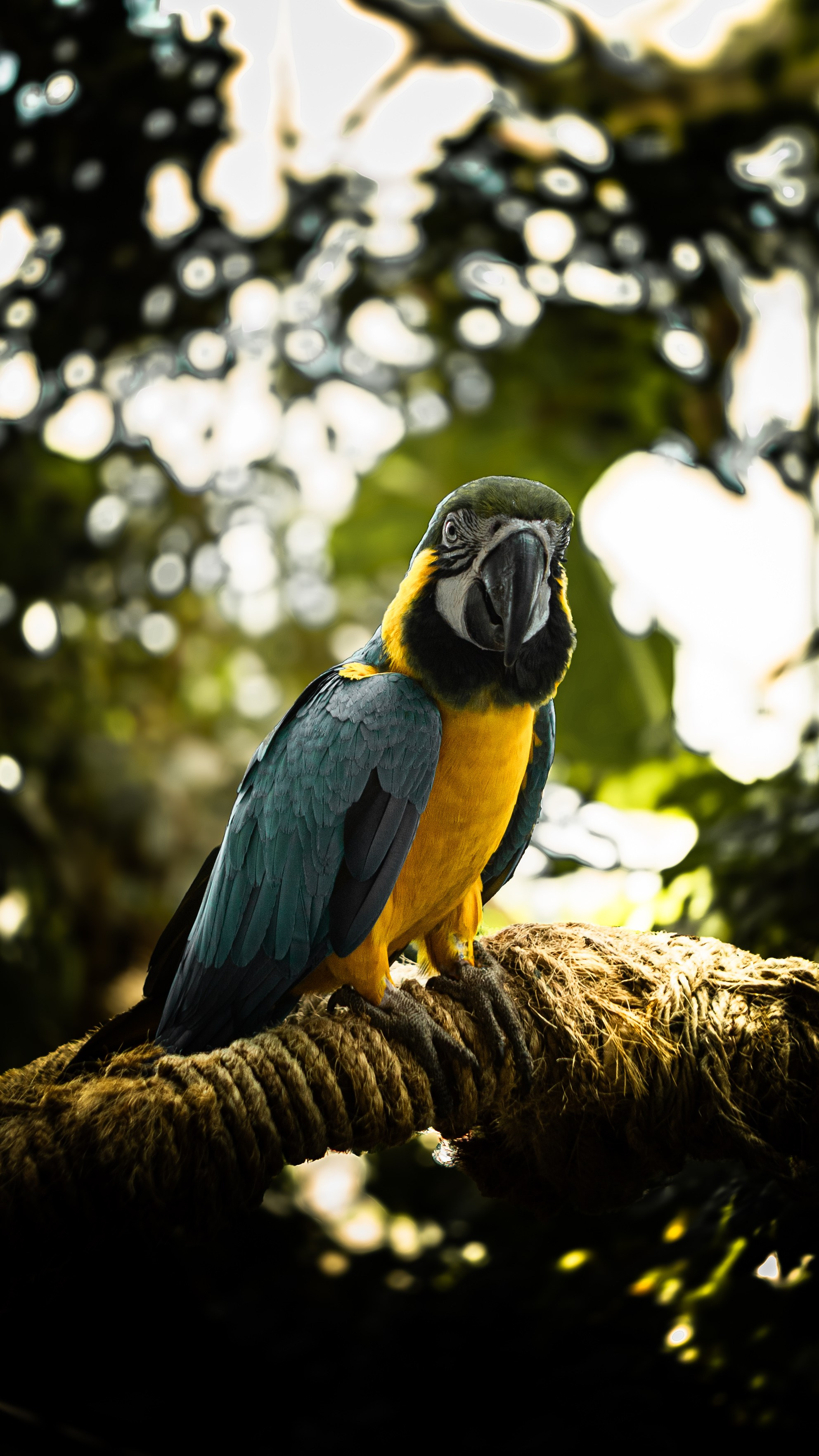 Wildlife Photography — Personal Work | Anastasiia Kalinkina