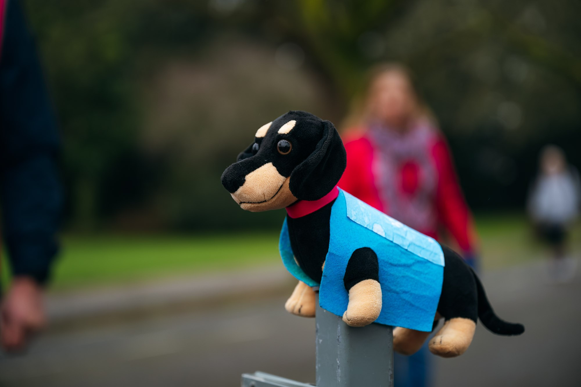 2026.03.07 Poole parkrun. Alexander Kabanov Photographer