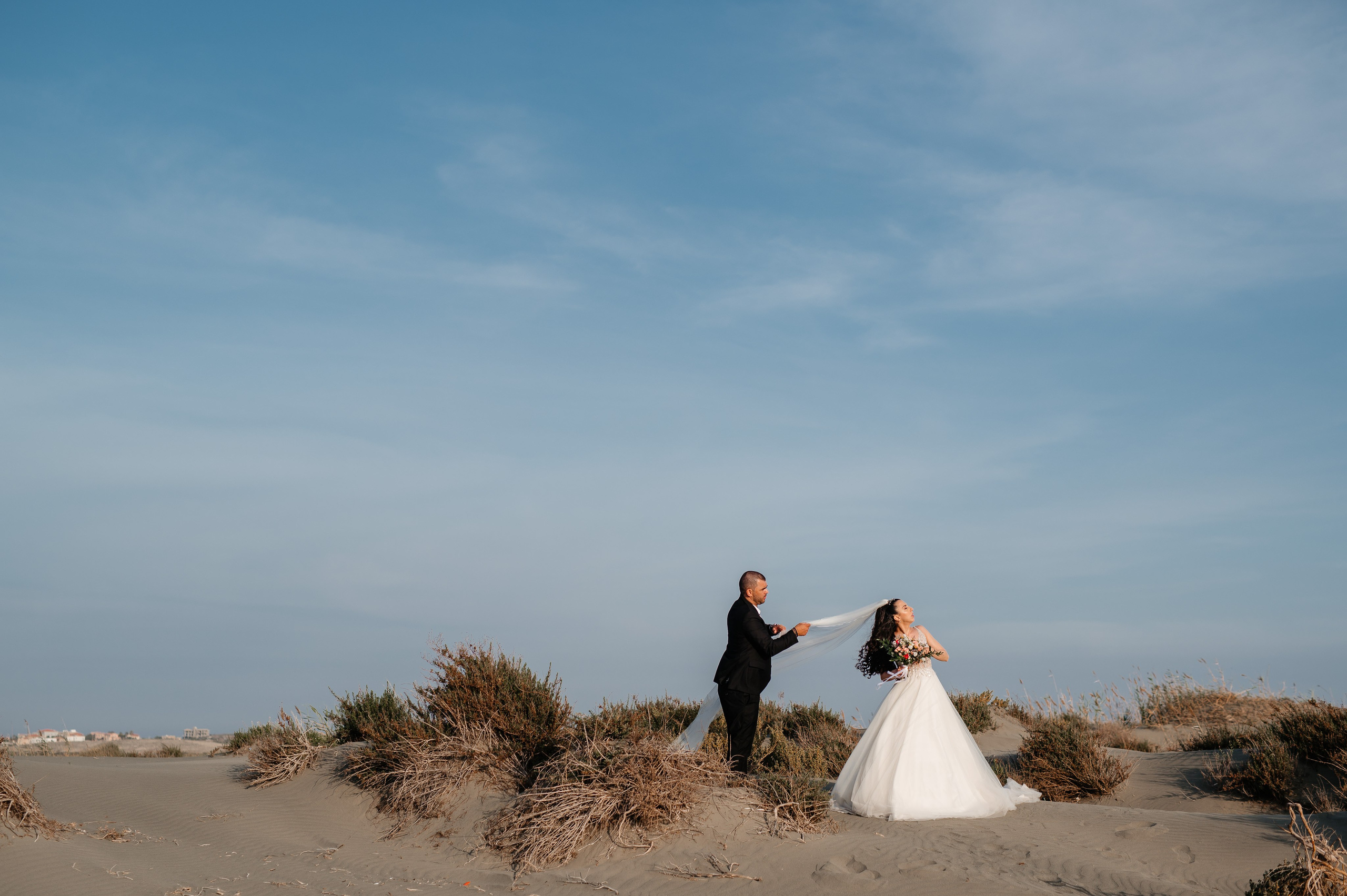 AfterDay Y & E. AdrianOltean.wfolio.pro