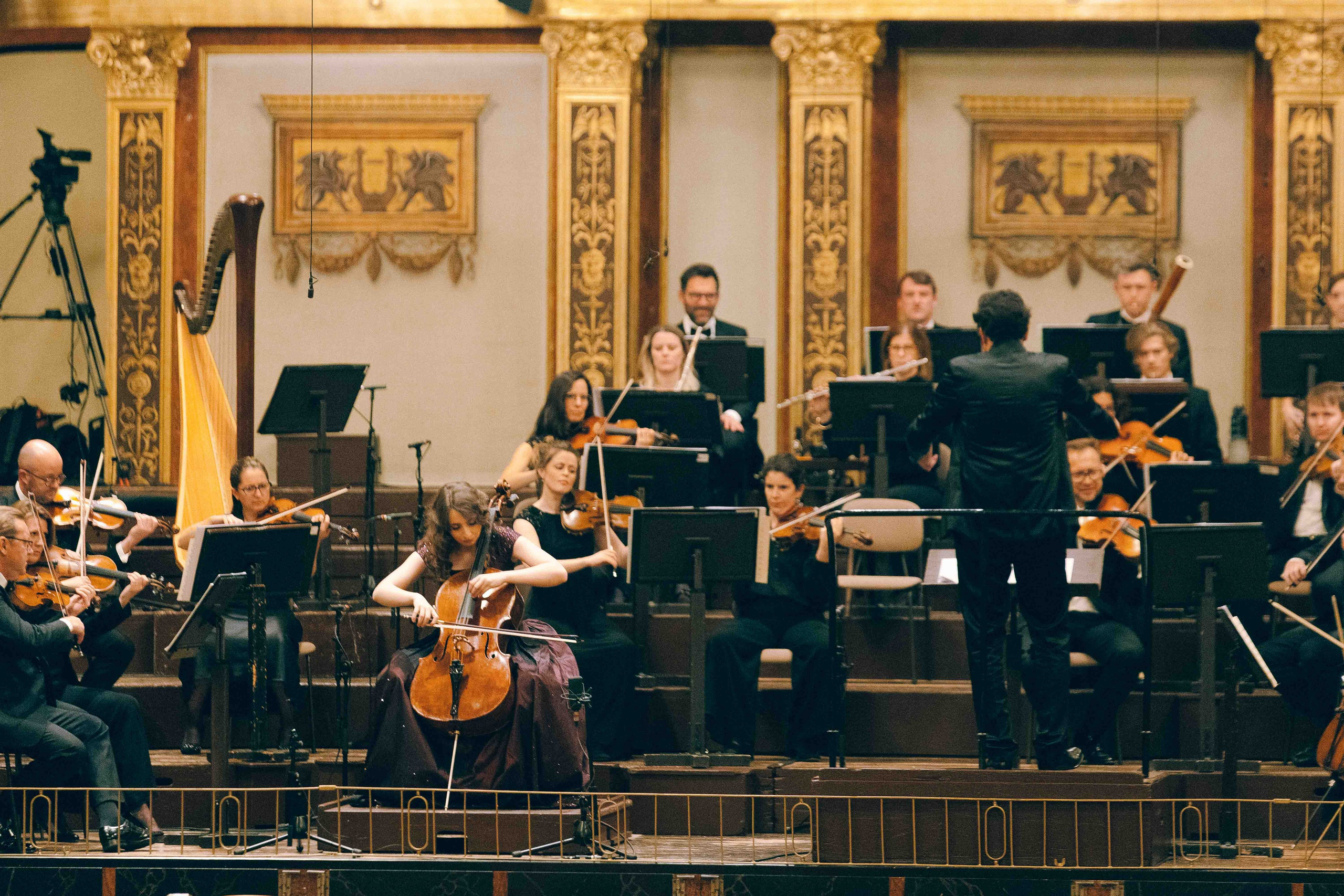 MUSIKVEREIN (VIENNA). Wedding&Event photographer Ismail Rzayev in Baku