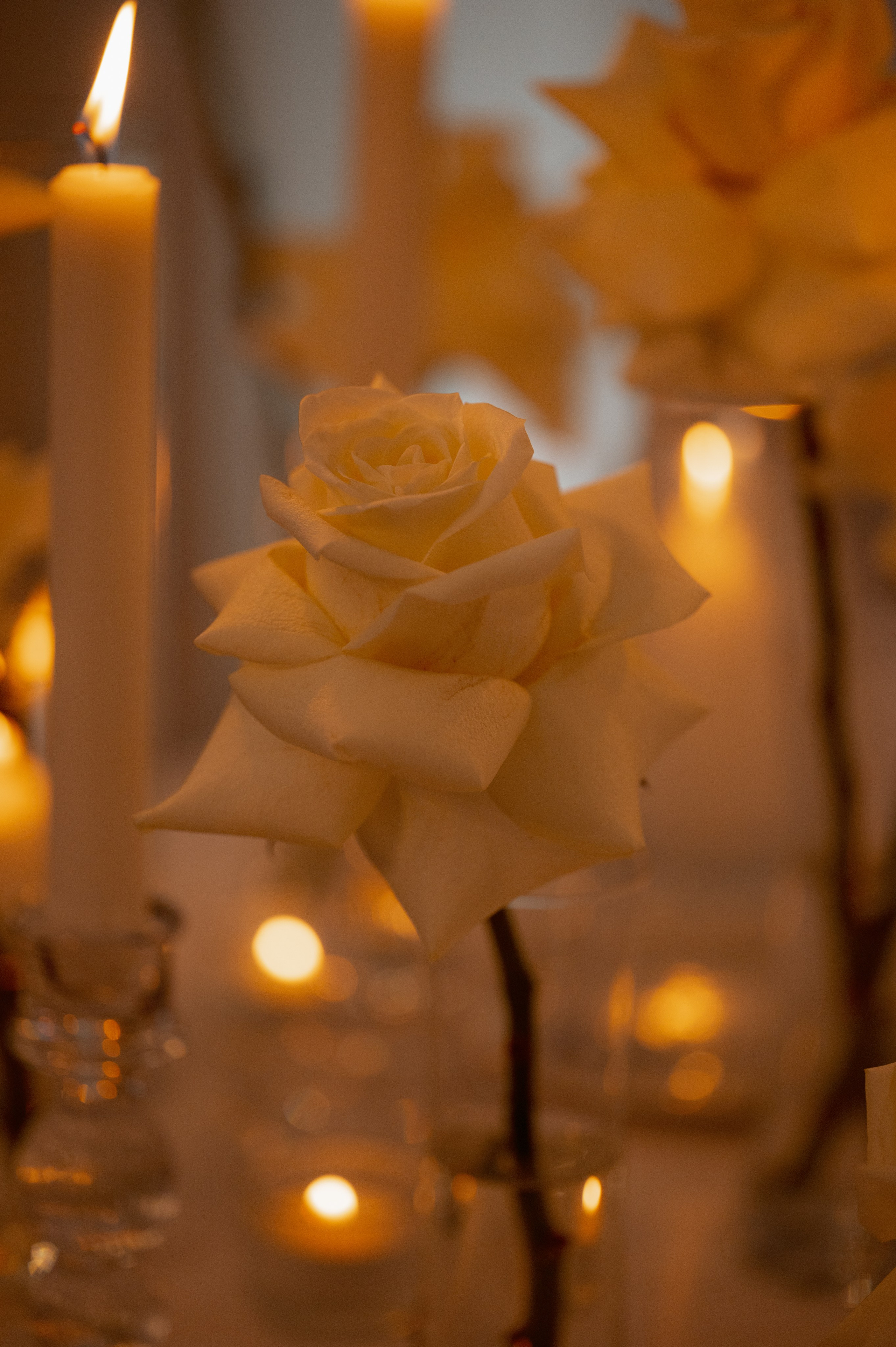 Veronika & Rostislav. Bakasphoto wedding and lifestyle photography Latvia and Worldwide