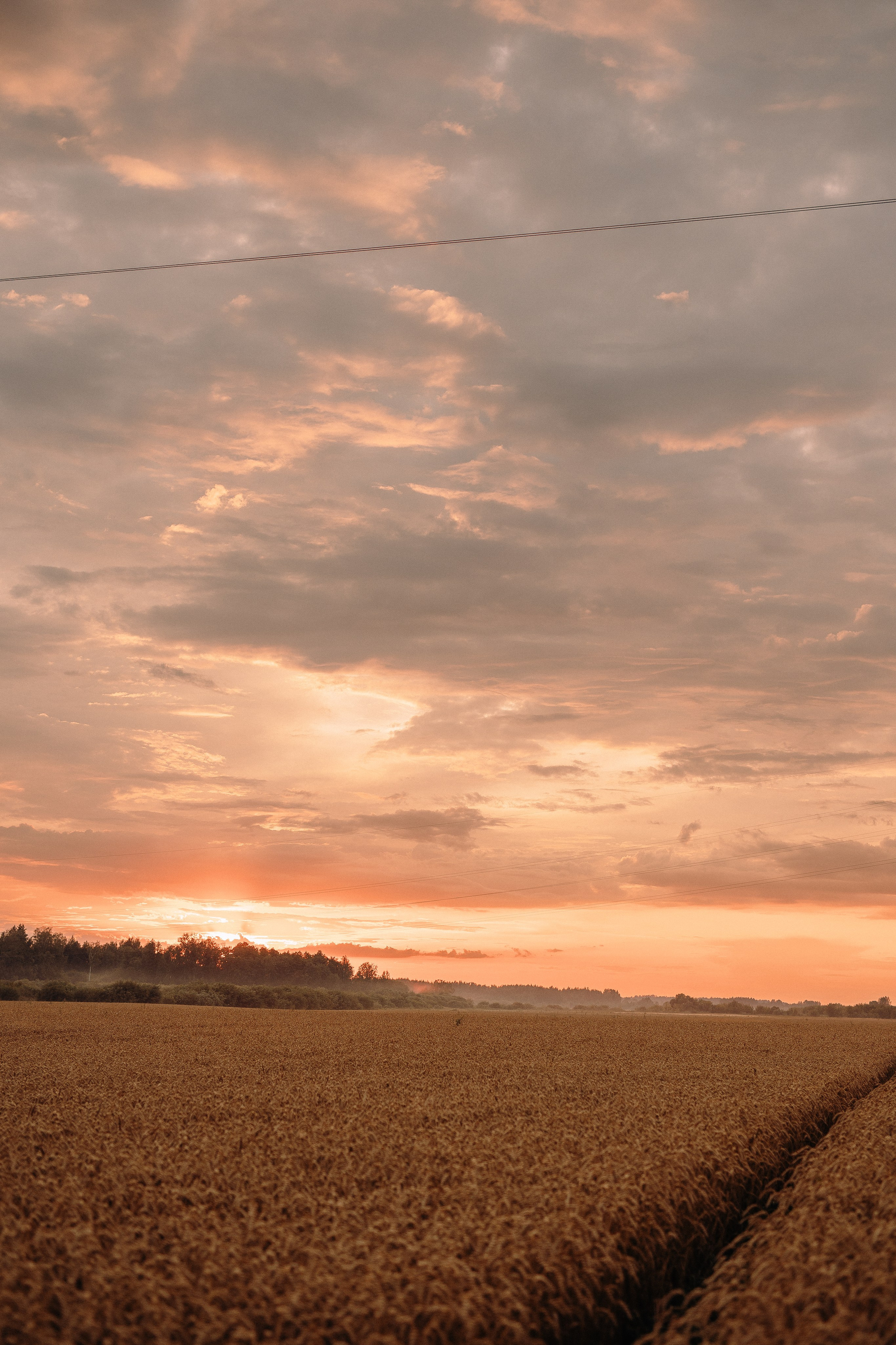 Emīlija un Vadims. Fotogrāfe Līga Vaidere