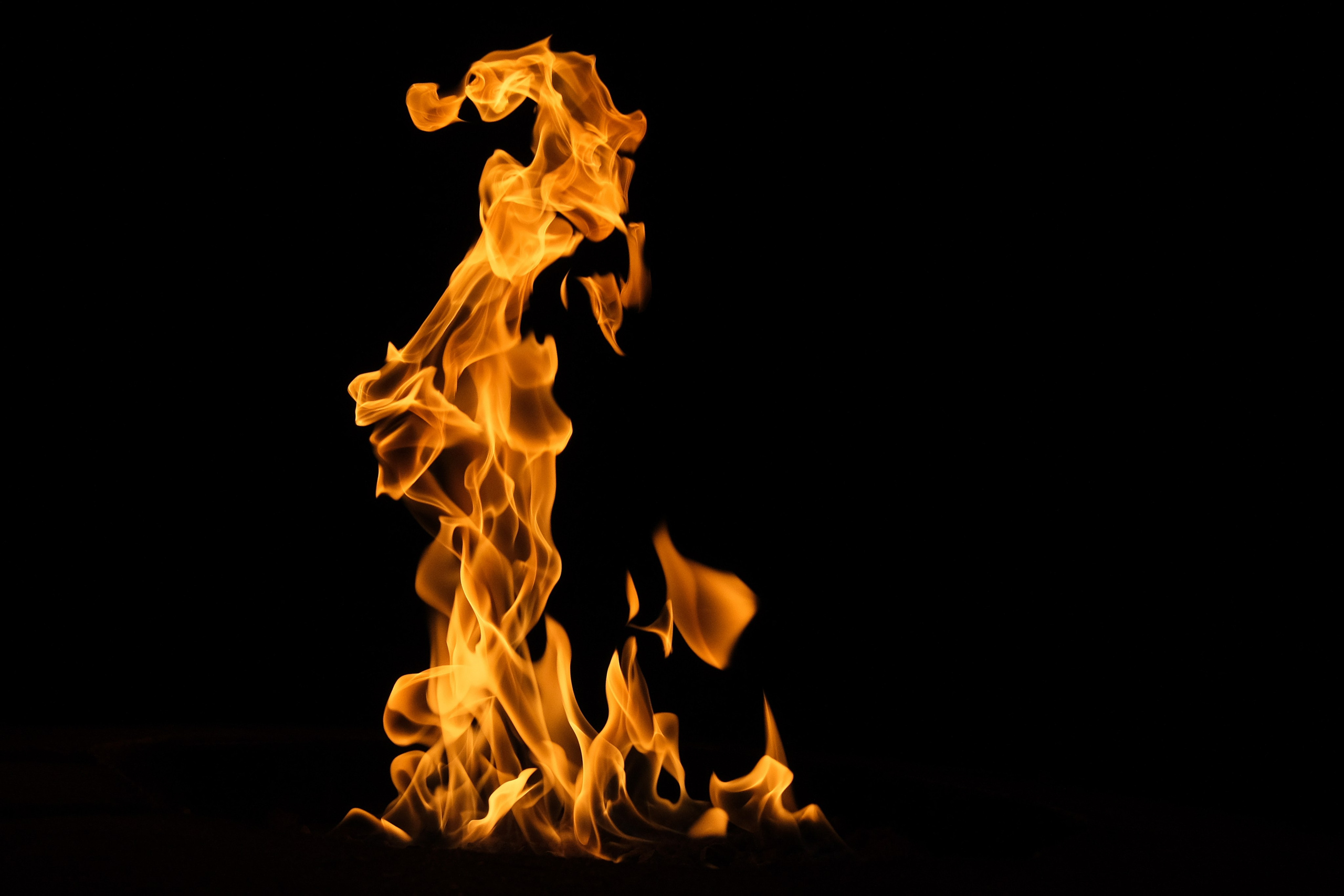 VATRA. Reportage concert portrait photography in the San Francisco Bay Area