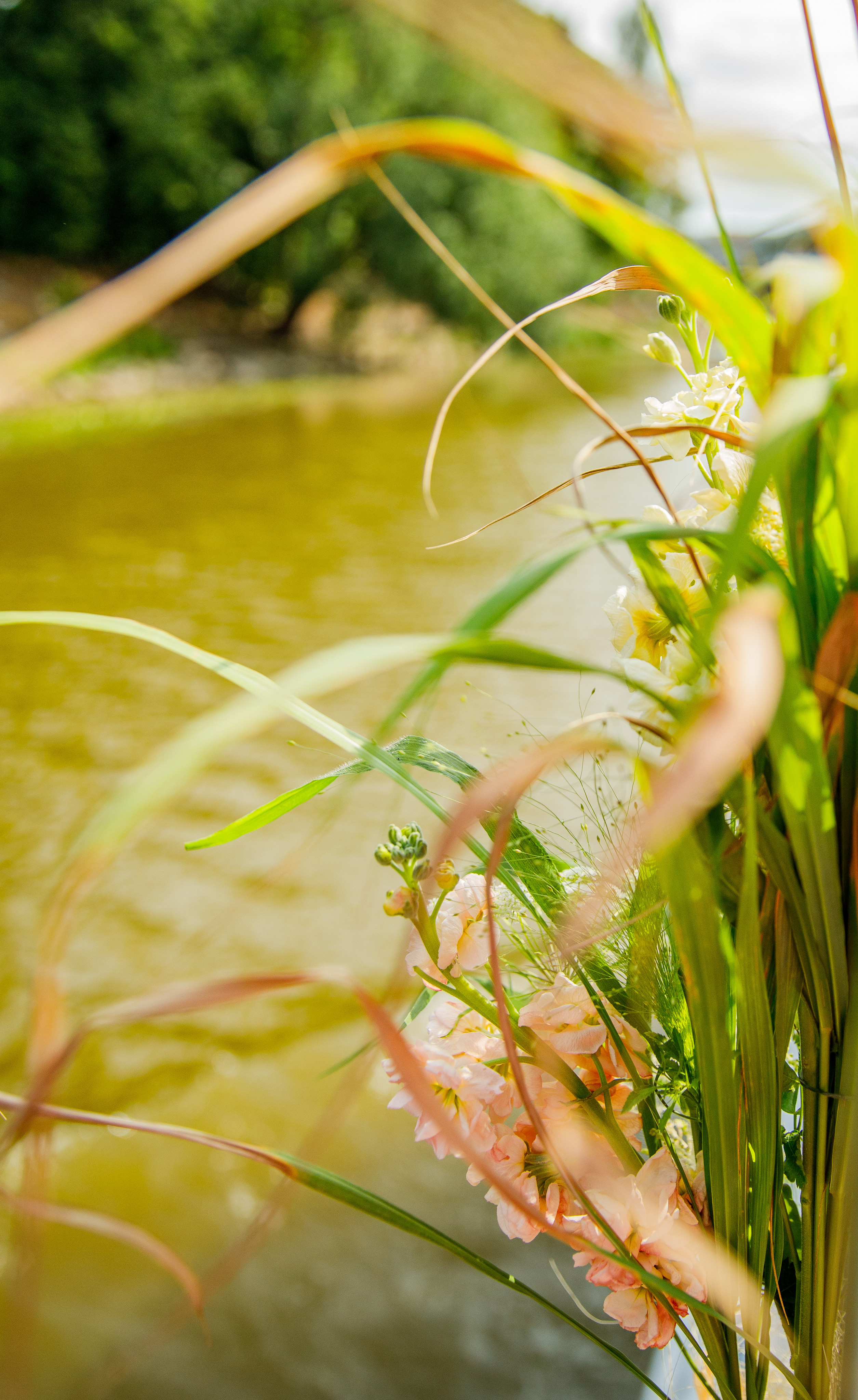 Wedding K&M 18.08.23. Jkurm Photography — Rovaniemi, Finland and Tartu, Estonia