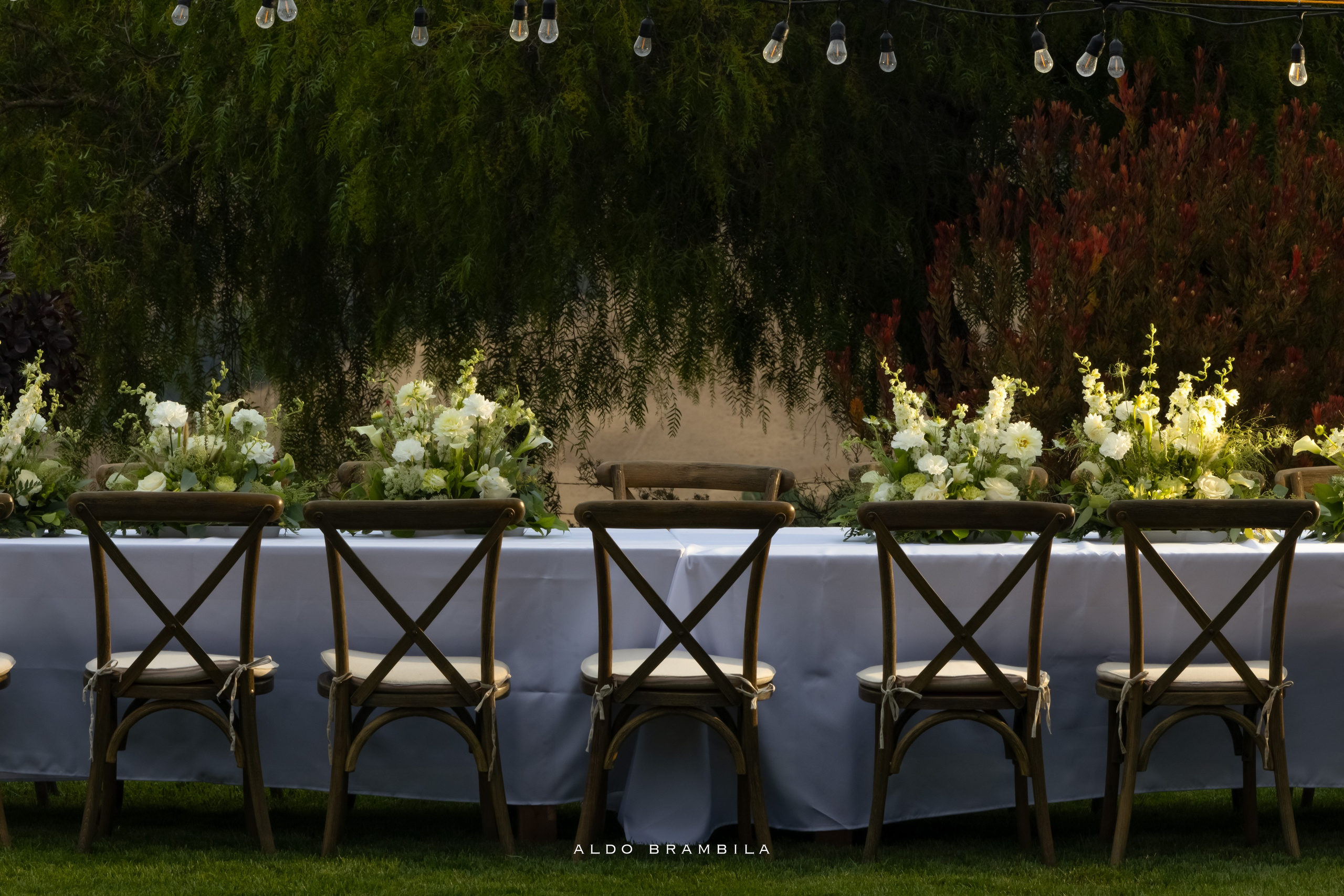 Fotografia de Bodas. Aldo Brambila fotografo de eventos y sociales