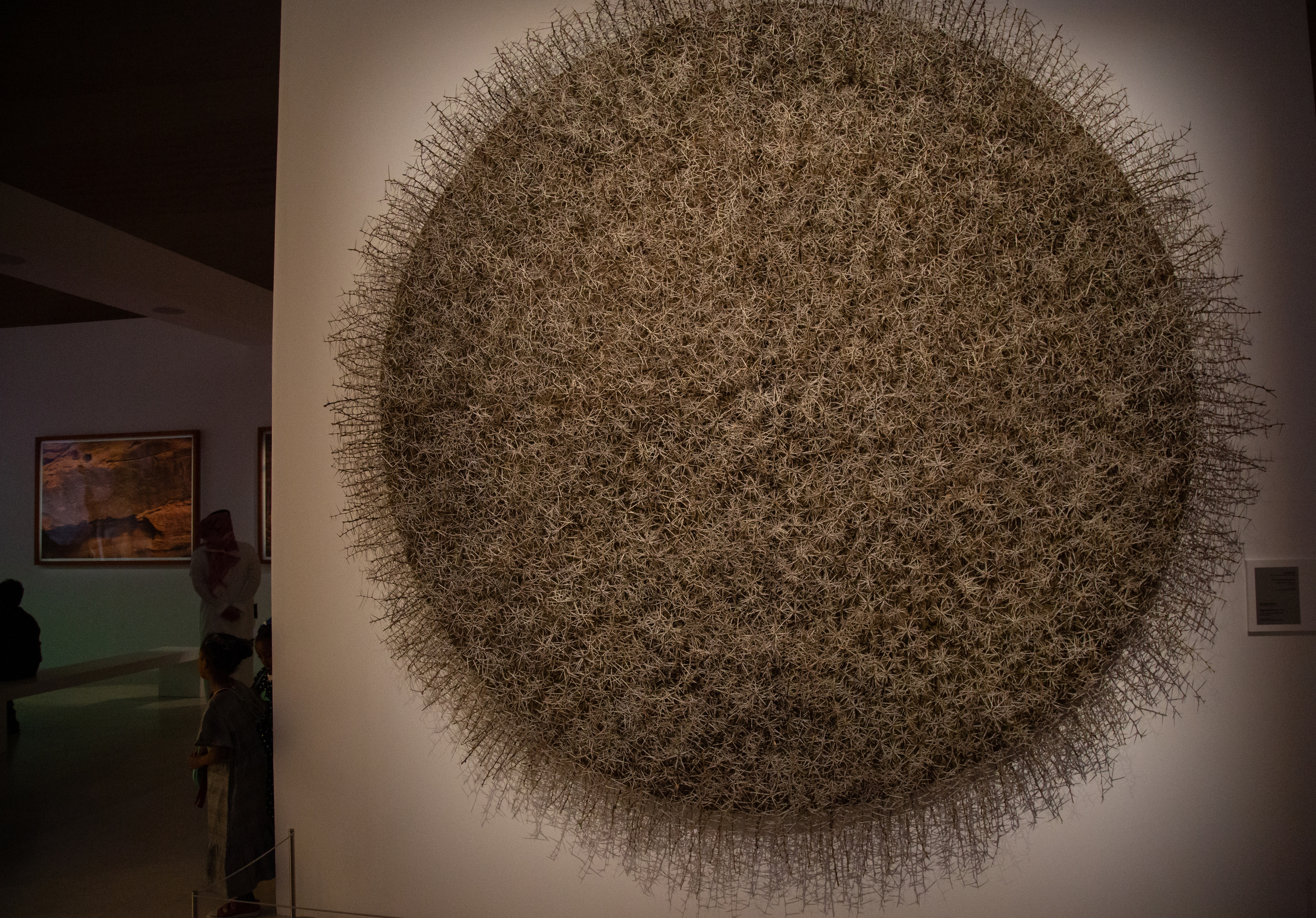 ITHRA. Междисциплинарный художник, фотограф