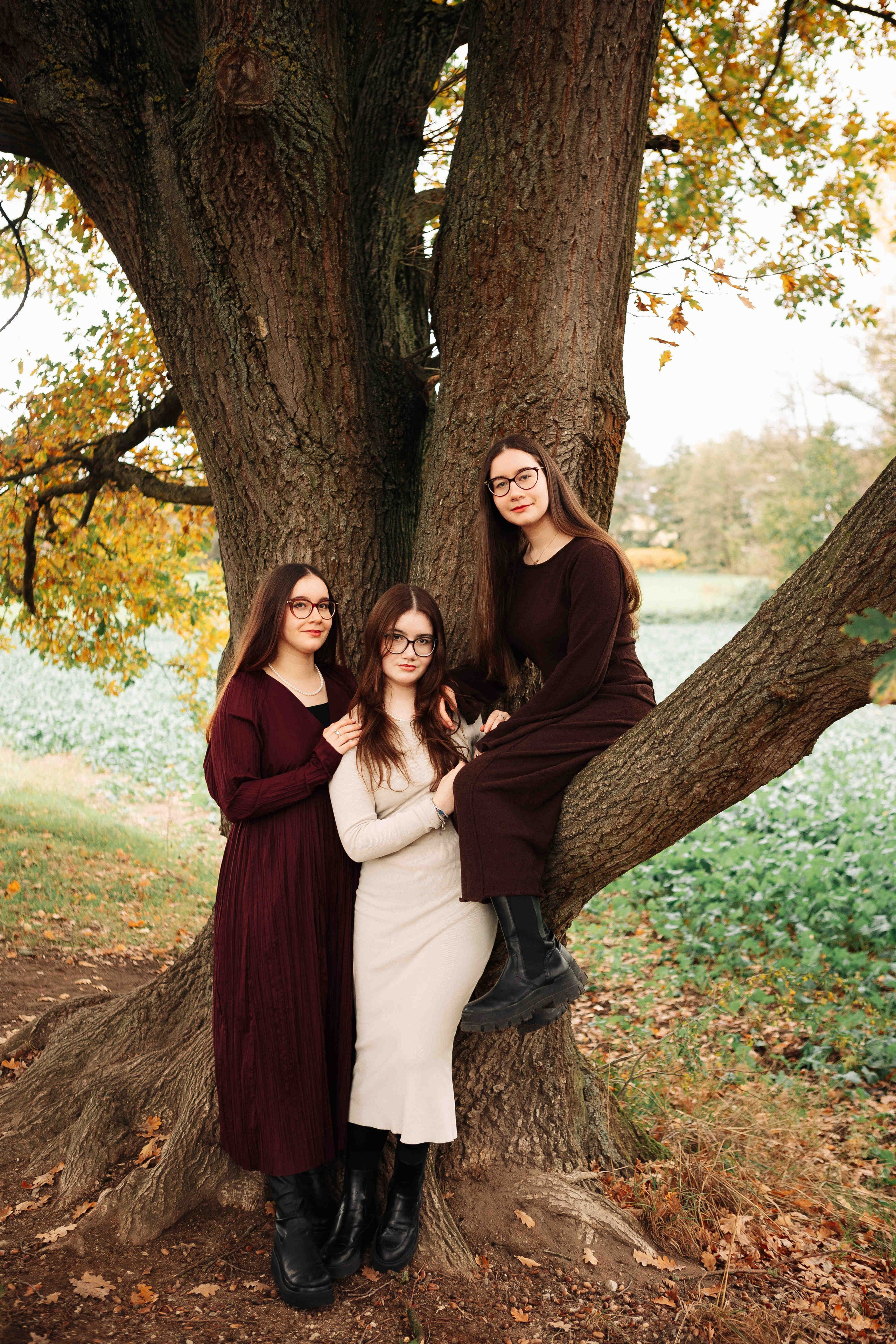 BIG OAK, BIG FAMILY. Https://shi-photo.com/