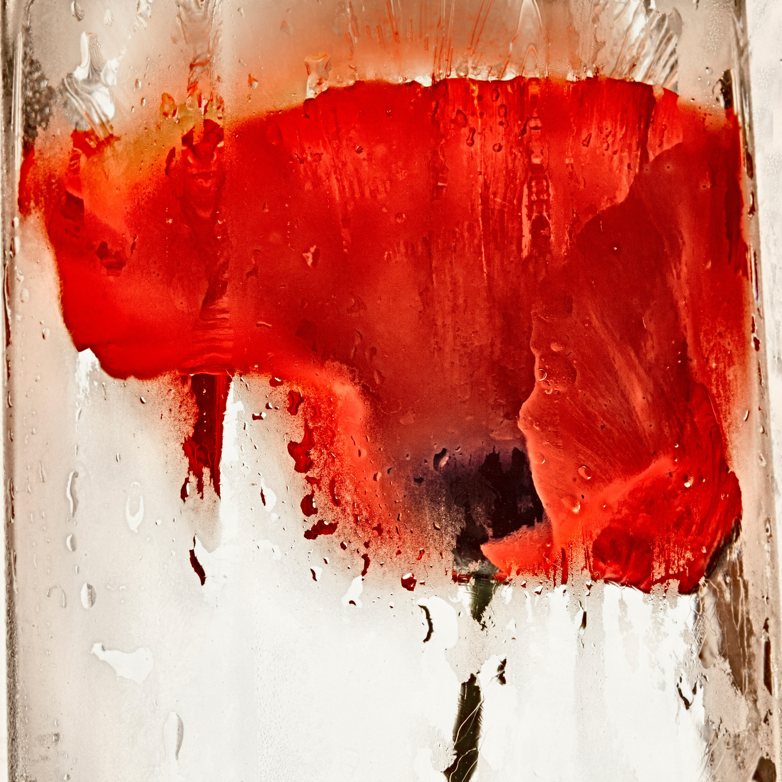 ALL RIGHTS RESERVED&nbsp;All images can be printed in 100 x 100 cm and 100 x 150 cm formats on the best fine art media. Other formats are available upon request. For further information, please contact the links on the main page of the site.