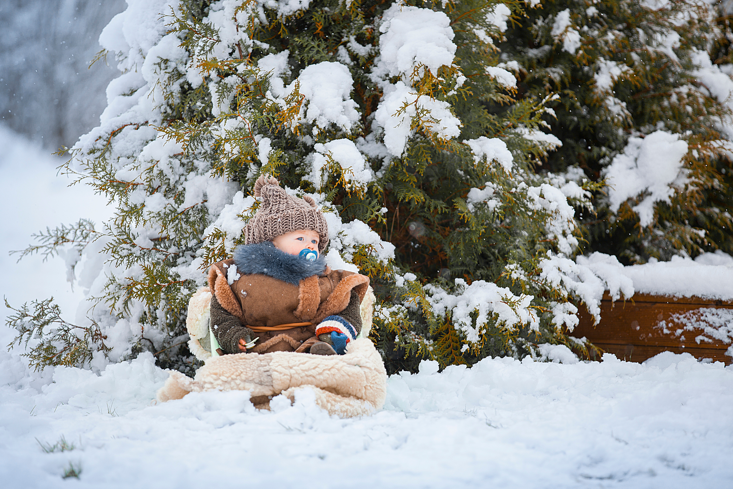 Семейная съемка. Maksim Bogdanets Photography